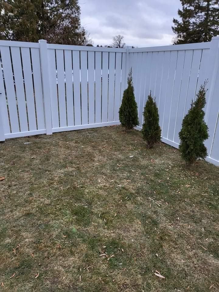 White picket fence encloses a small yard with three young evergreen trees and brown grass.