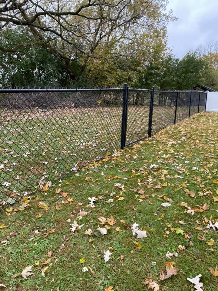 Black chain-link fence in grassy yard, scattered with fallen autumn leaves; trees in background.