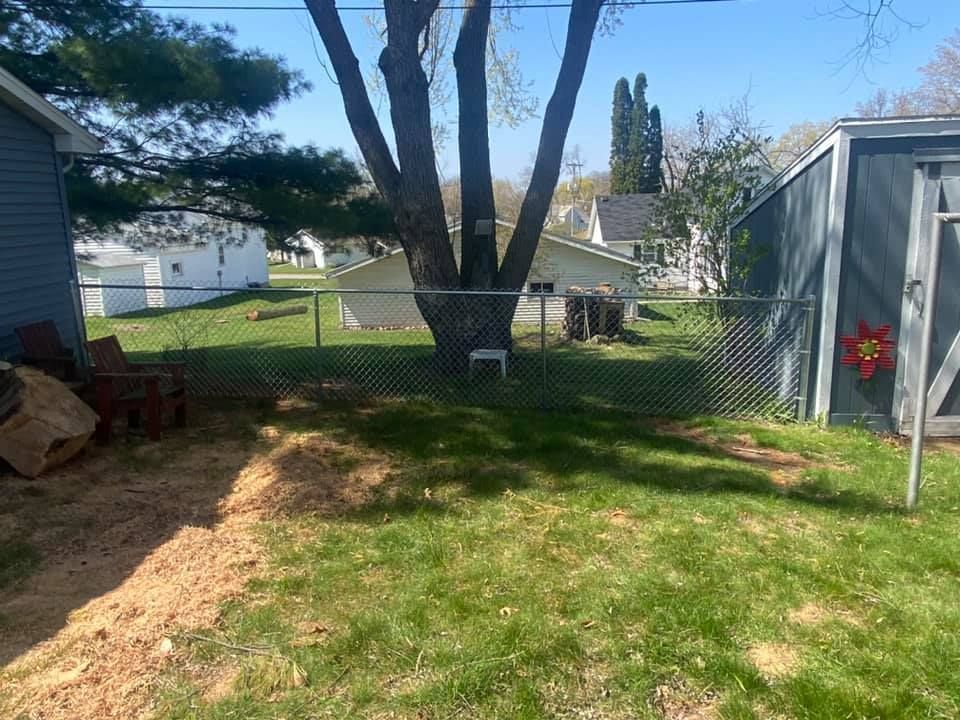 Backyard with chain-link fence, large tree, shed, and grass; daylight.