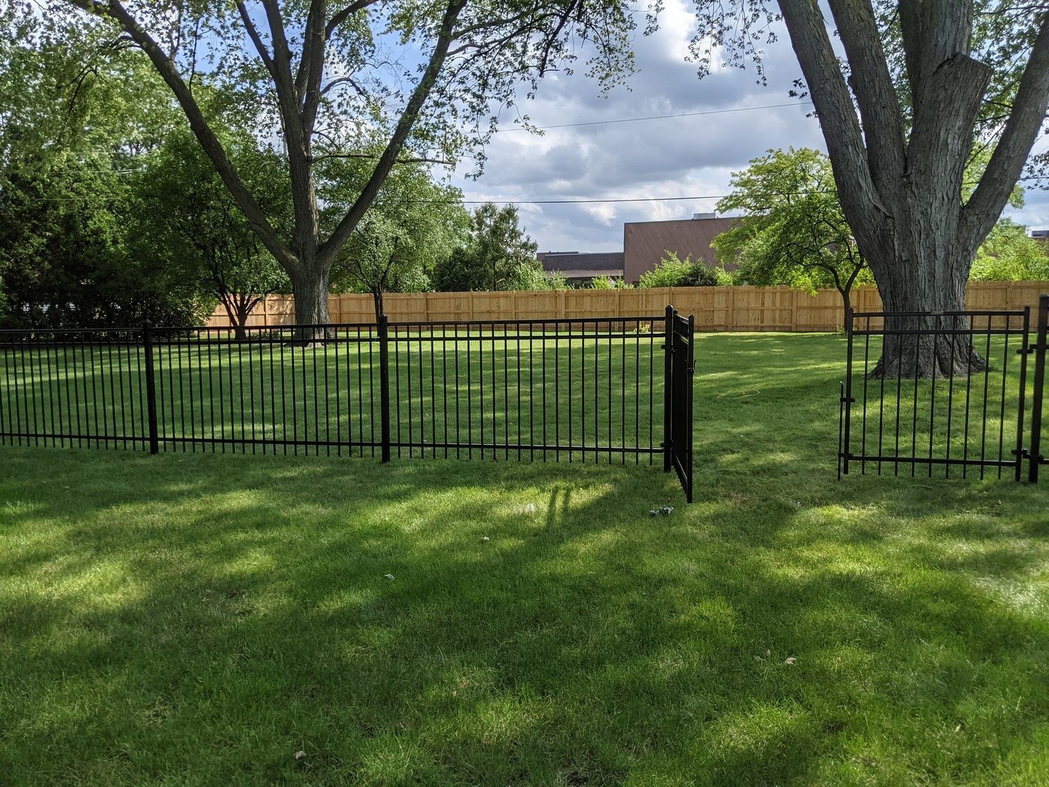 Black metal fence surrounding a grassy yard with trees, and an open gate.