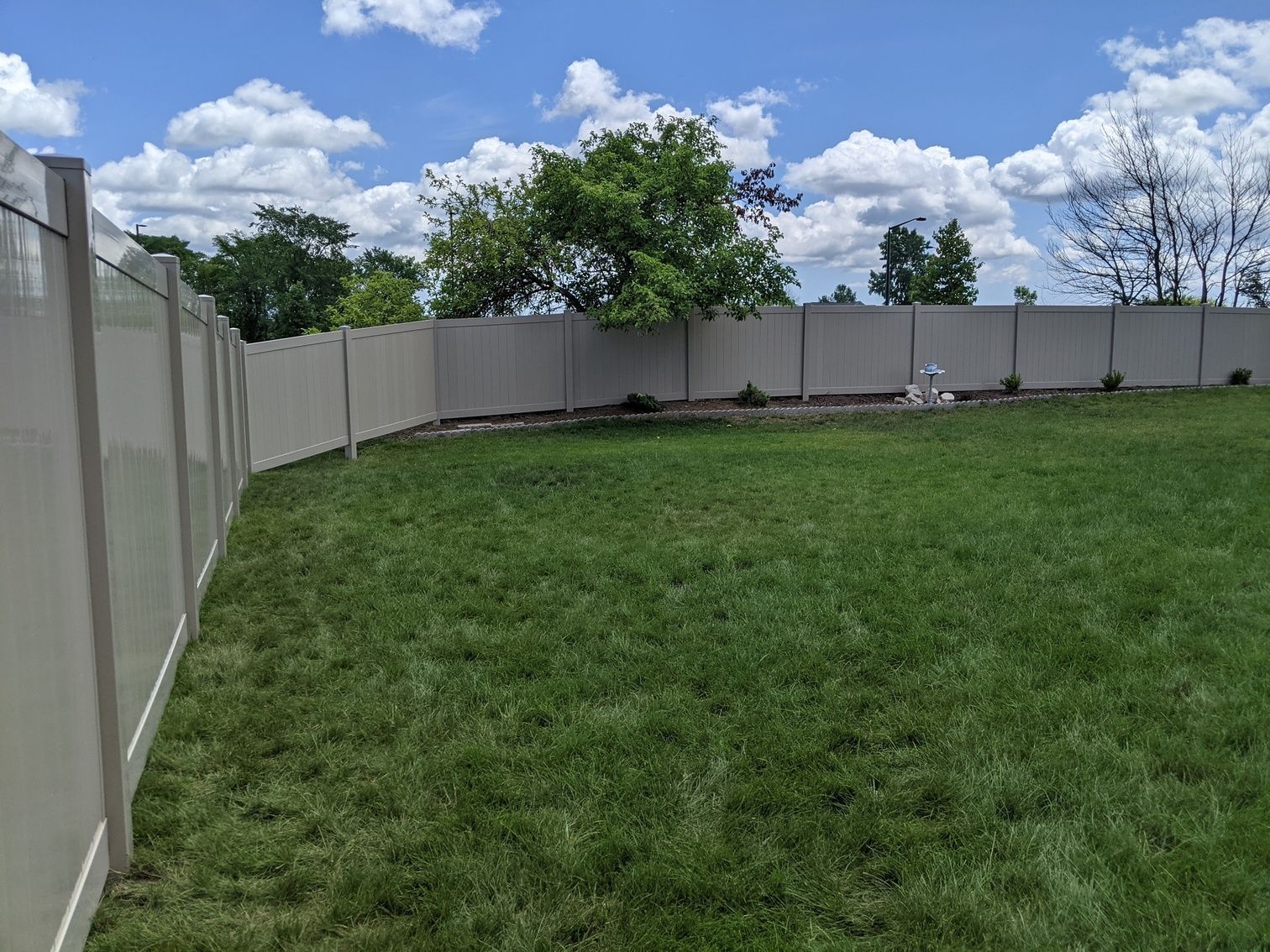 A grassy backyard enclosed by a beige vinyl fence on a sunny day.