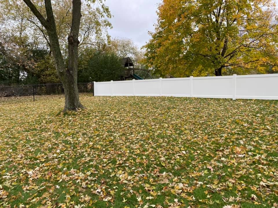 Backyard with a white fence, fallen yellow leaves, and trees. Overcast sky.