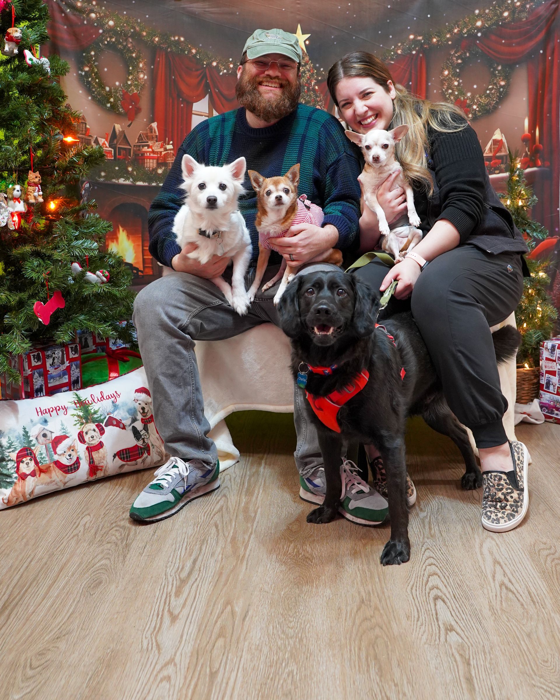 Couple sitting with three small dogs and a black dog in front of a Christmas backdrop.