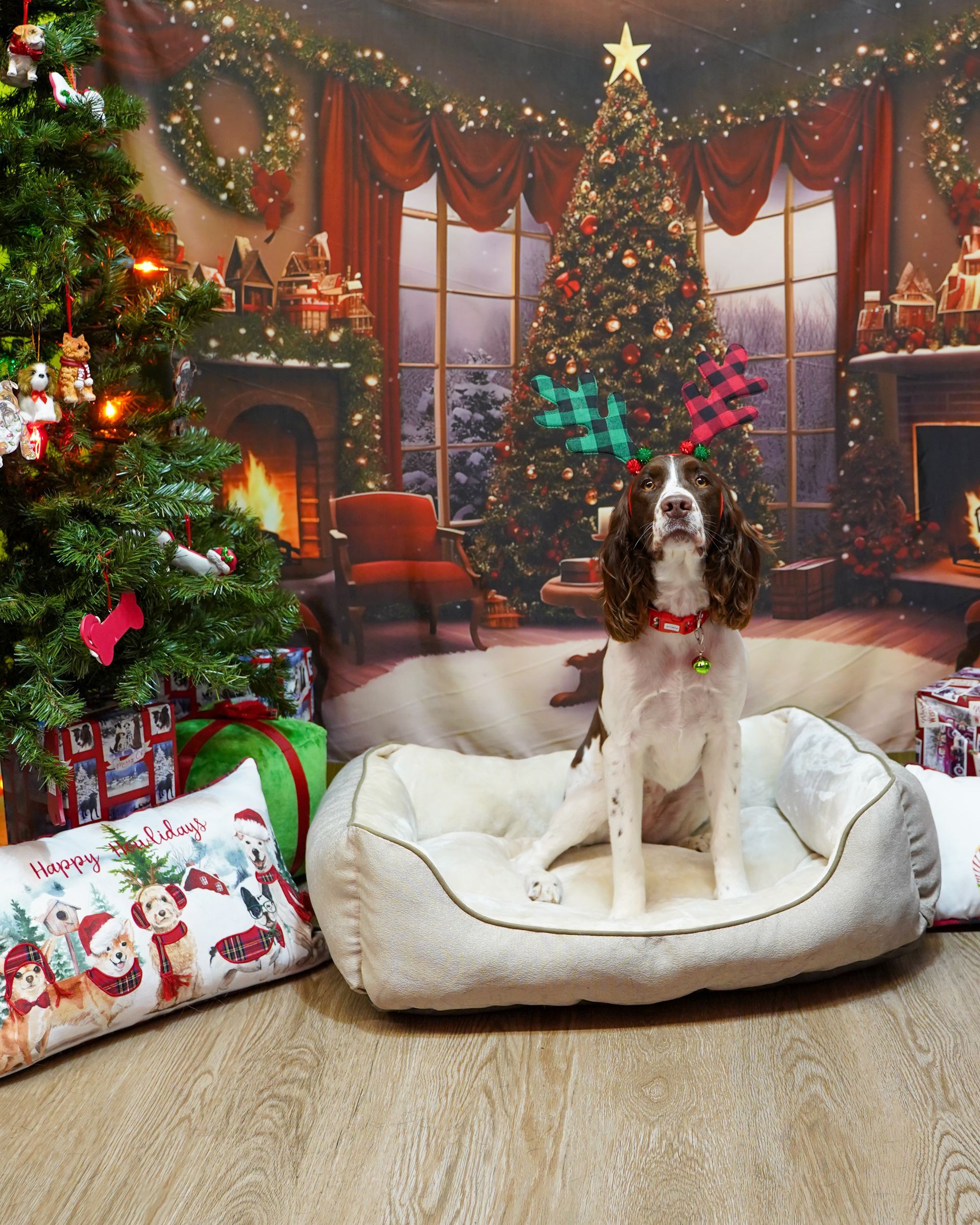 Dog with antler headpiece in a festive Christmas scene, sitting in a dog bed.