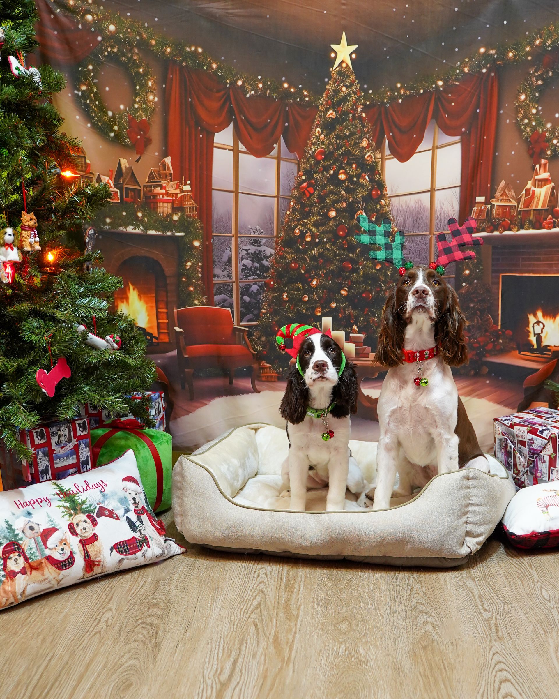 Two dogs in a Christmas scene, wearing festive collars, sitting in a dog bed. Christmas tree and fireplace in background.