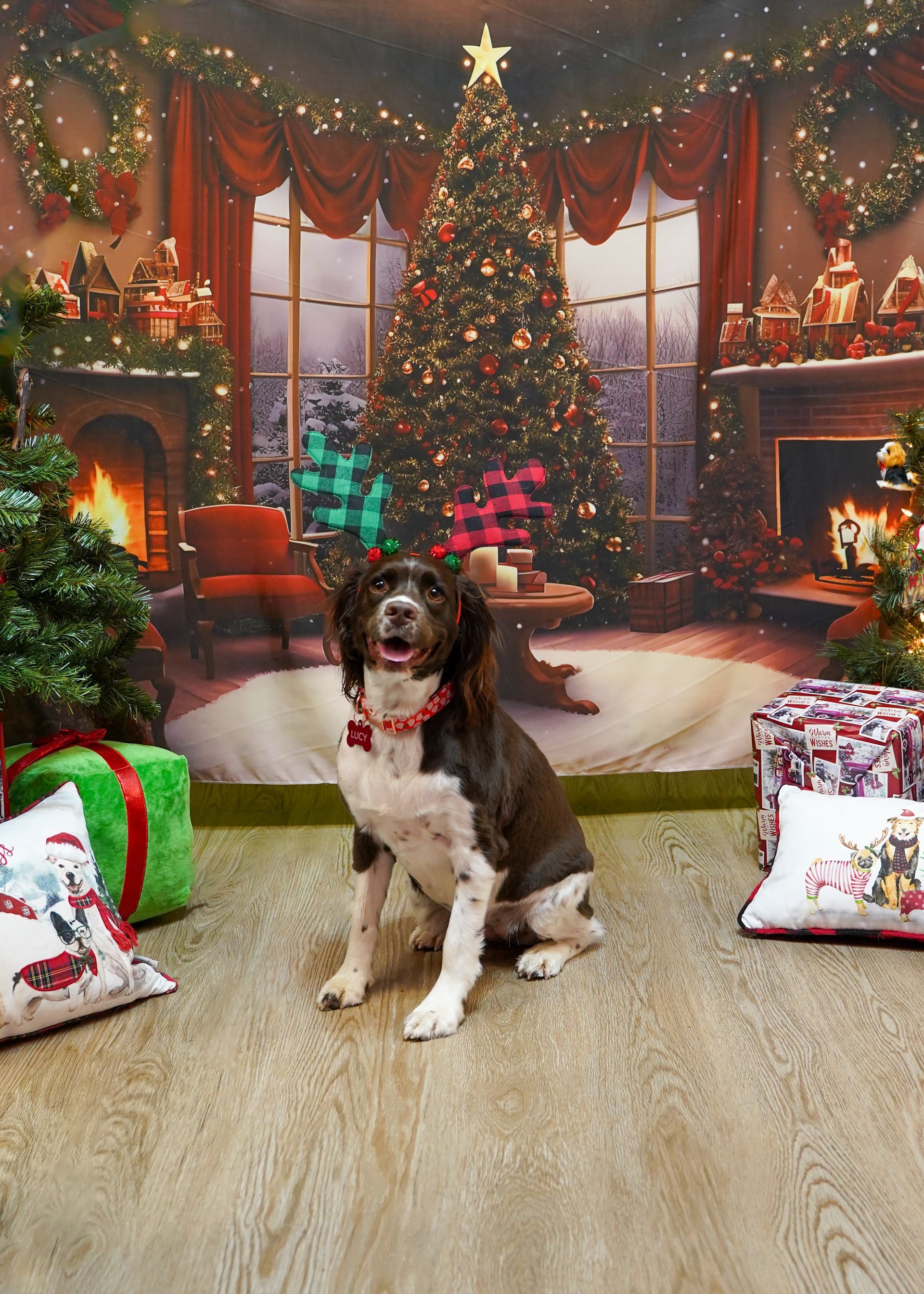 Dog in front of a Christmas backdrop with a tree, fireplace, and presents.