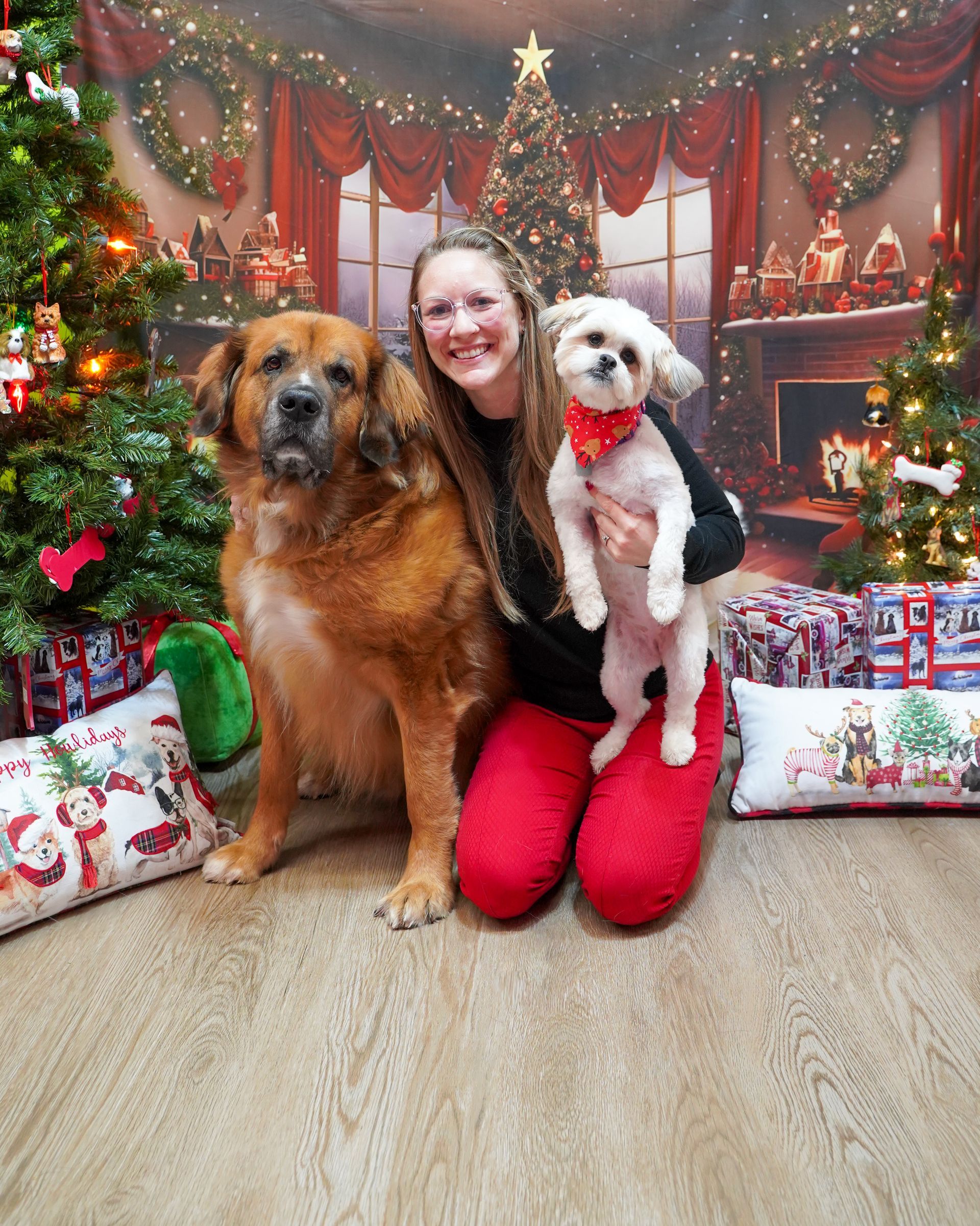 Woman kneels with two dogs in front of a Christmas backdrop. One large, brown dog sits; the other, small, white dog is held.