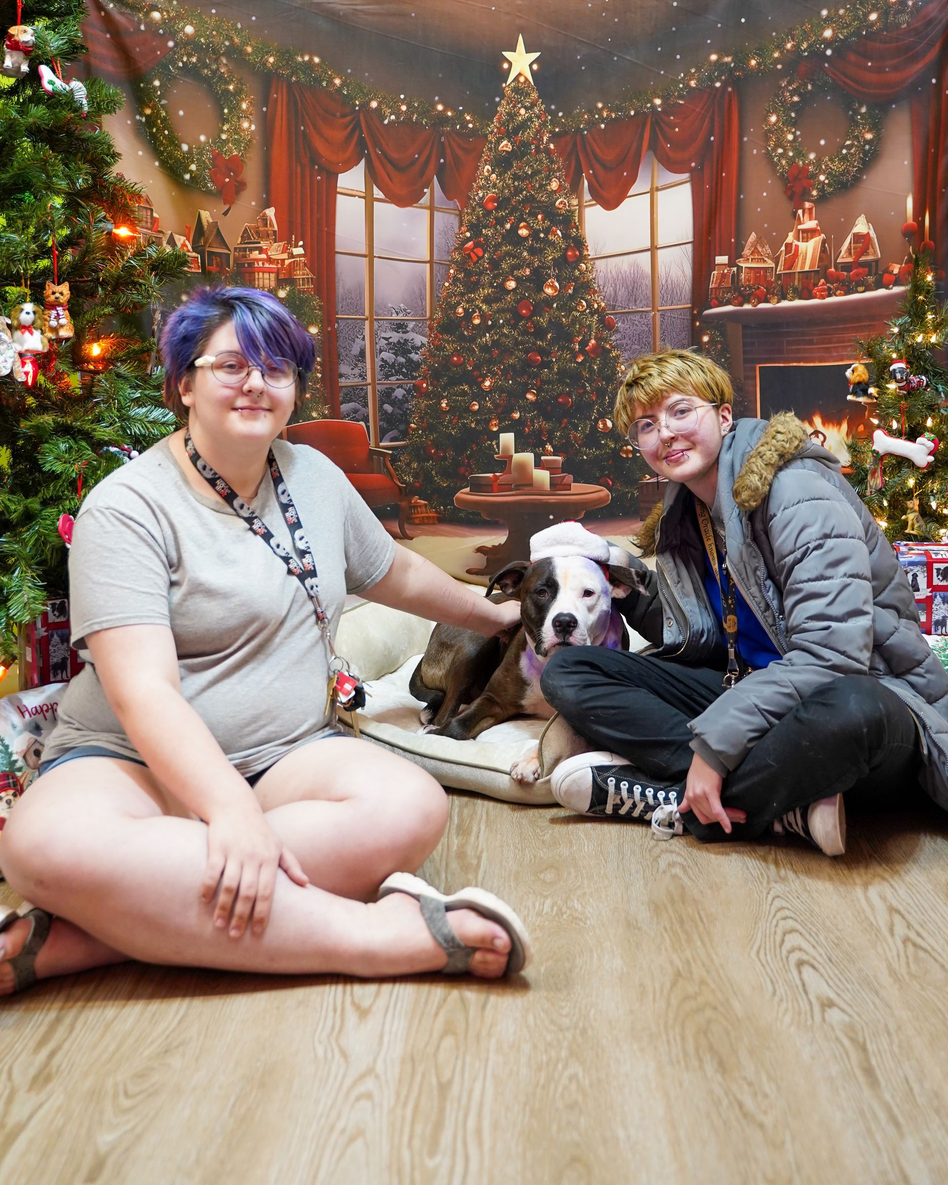 Two people and a dog sit in front of a Christmas backdrop. One person pets the dog.