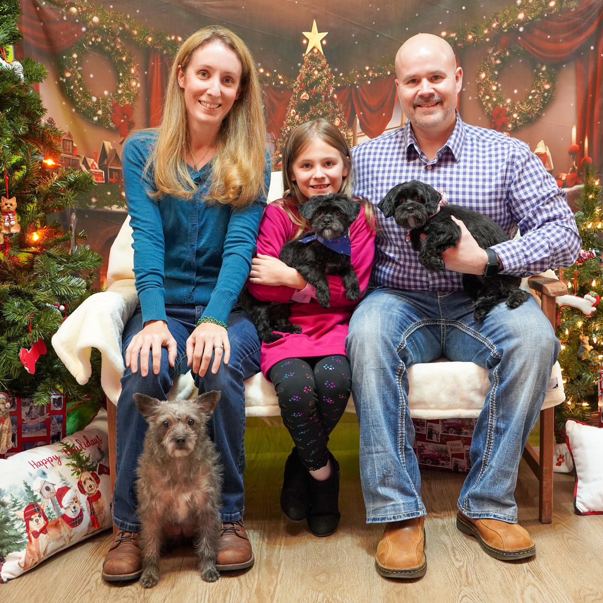 Family seated with three small dogs, Christmas backdrop. Smiling, holding dogs, festive attire.
