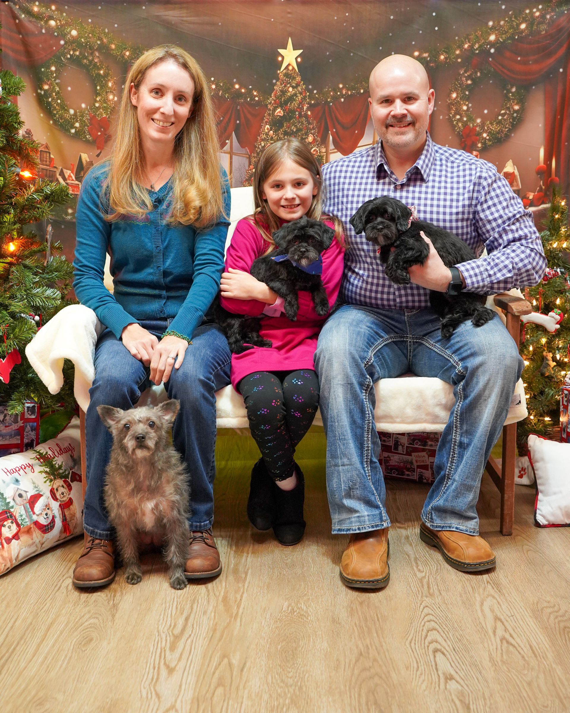 Family of four with three small dogs pose for Christmas photo.