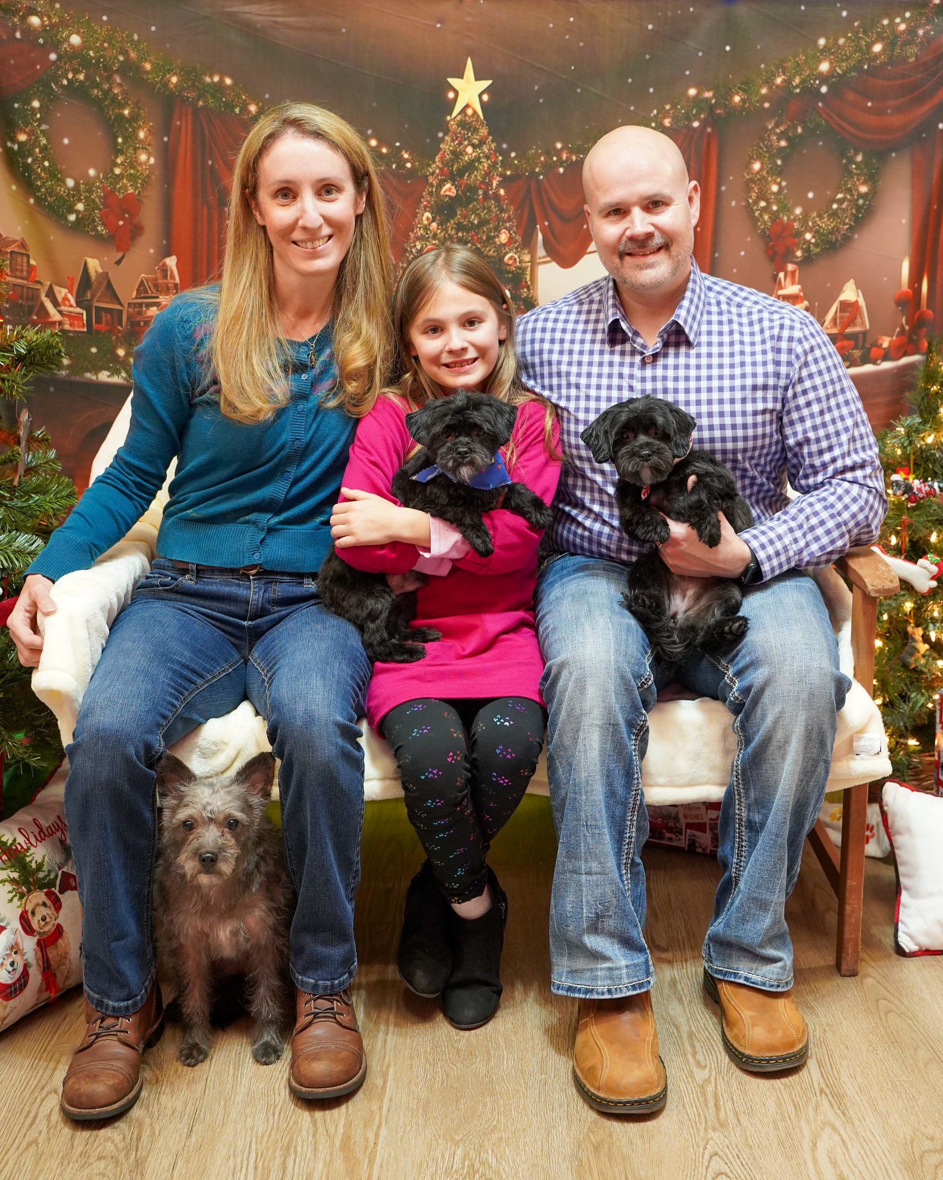 Family with three small black dogs in front of a Christmas tree.