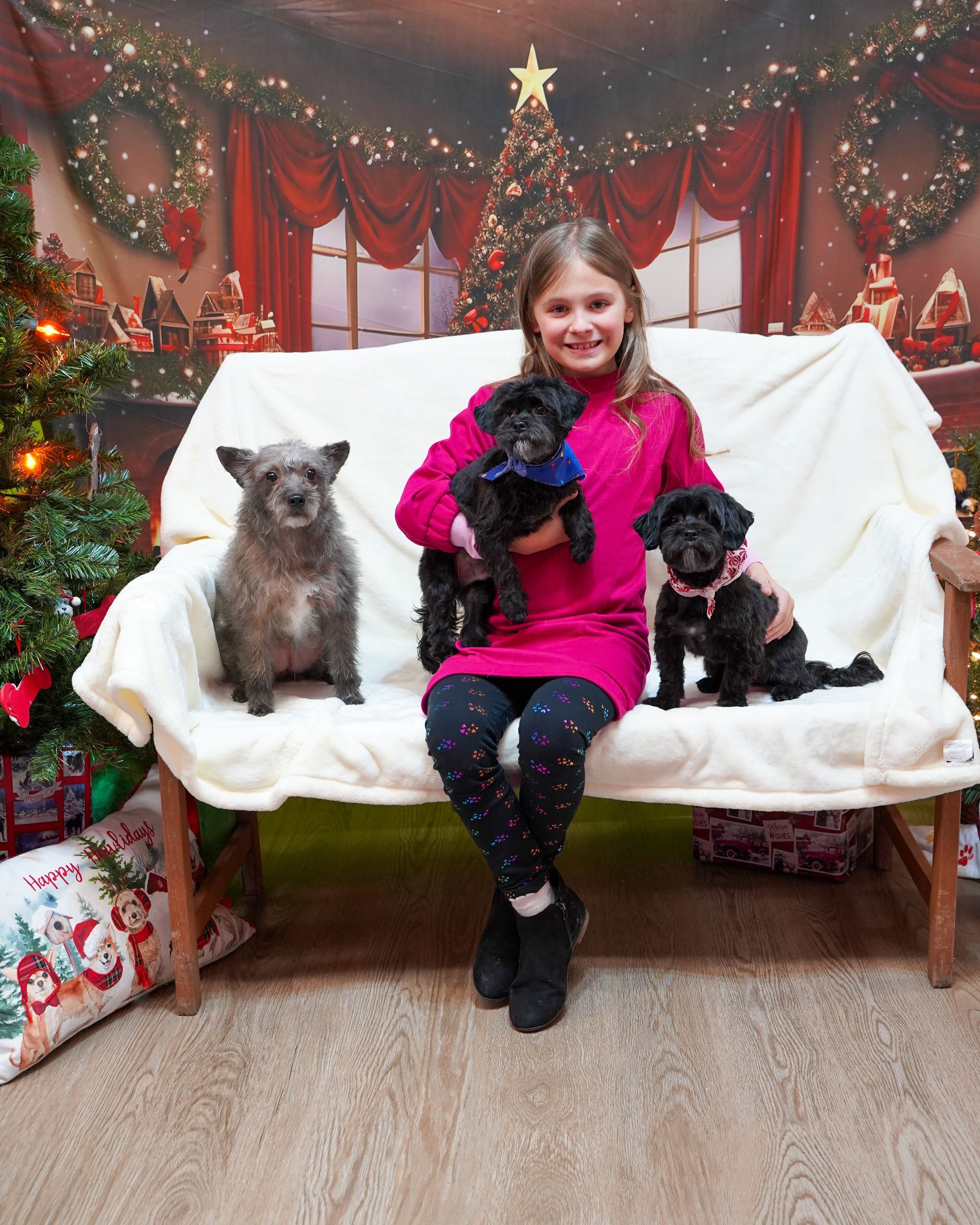Girl seated on a bench, holding two small black dogs and flanked by another. Christmas-themed backdrop.
