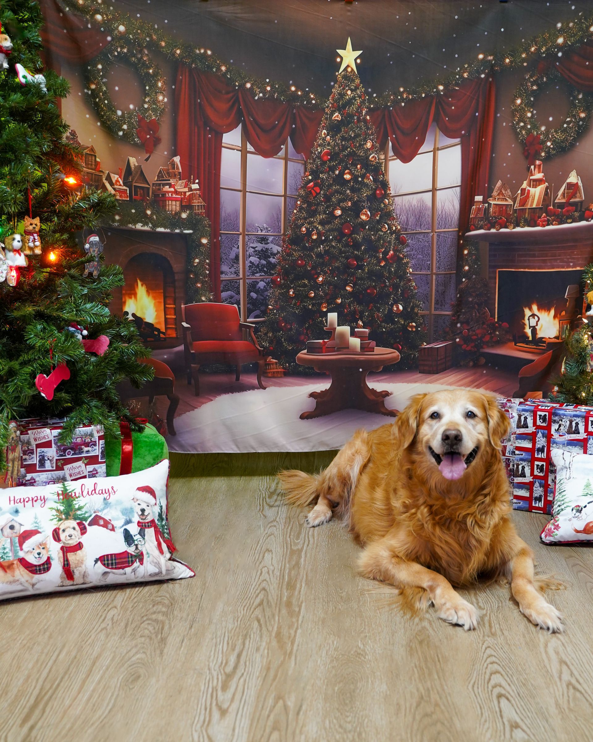 Golden retriever dog laying in front of a Christmas tree scene with gifts.