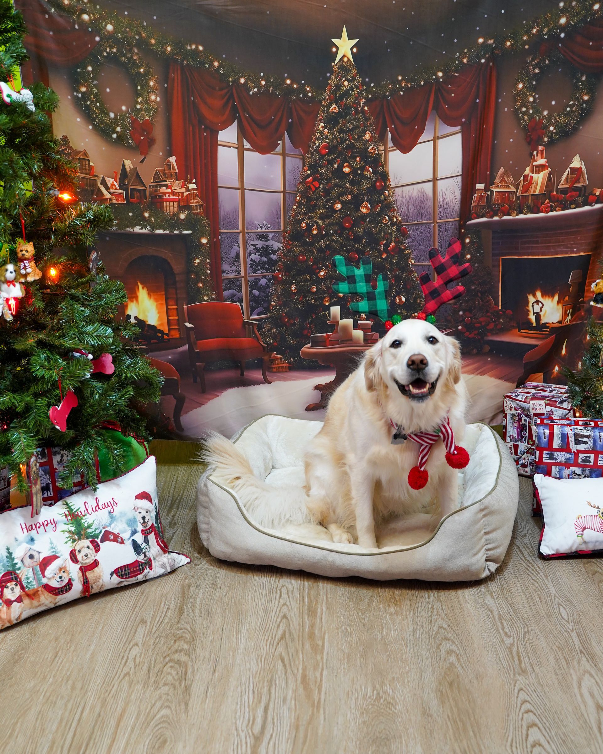 Golden retriever in a Christmas scene, wearing antlers and a festive collar, sitting in a pet bed, smiling.