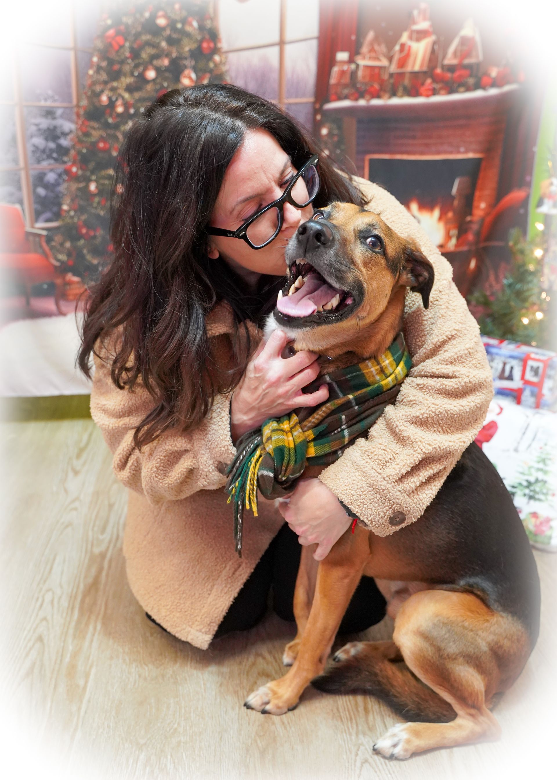 Woman in glasses hugs dog wearing scarf; Christmas scene background.