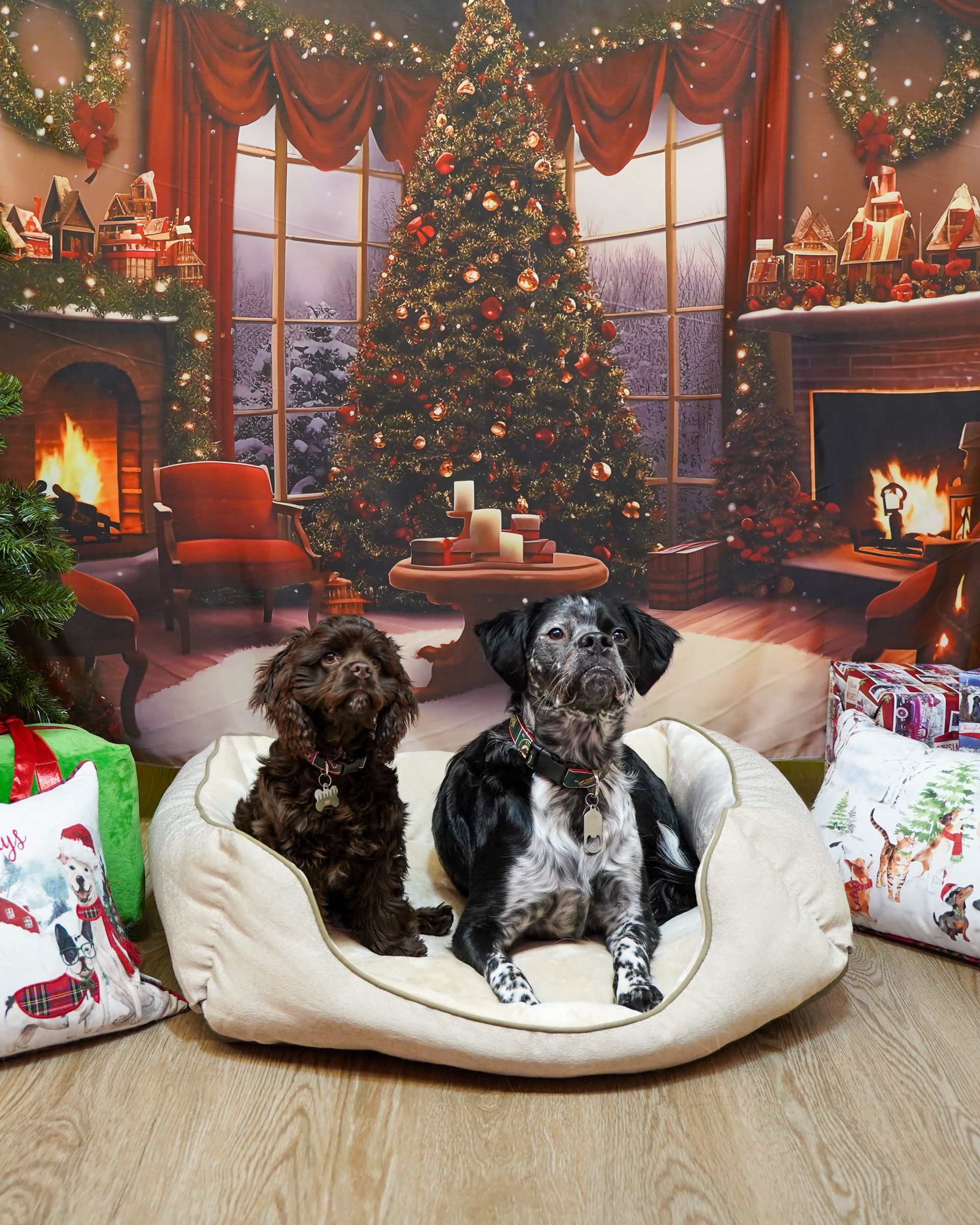 Two dogs sit in a beige dog bed in front of a Christmas backdrop featuring fireplaces and a tree.