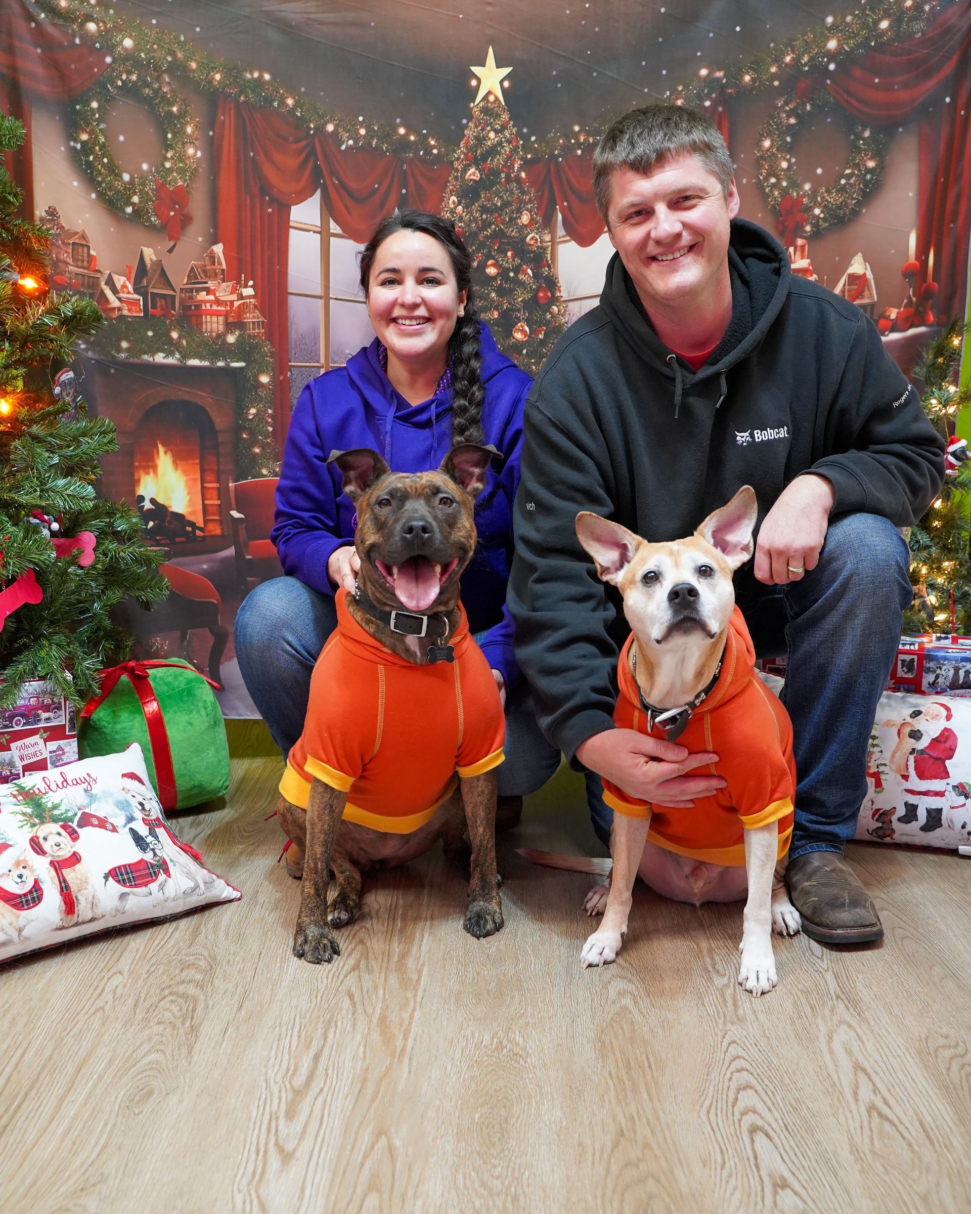 Two people and two dogs pose in front of a Christmas backdrop. All are wearing orange sweaters.