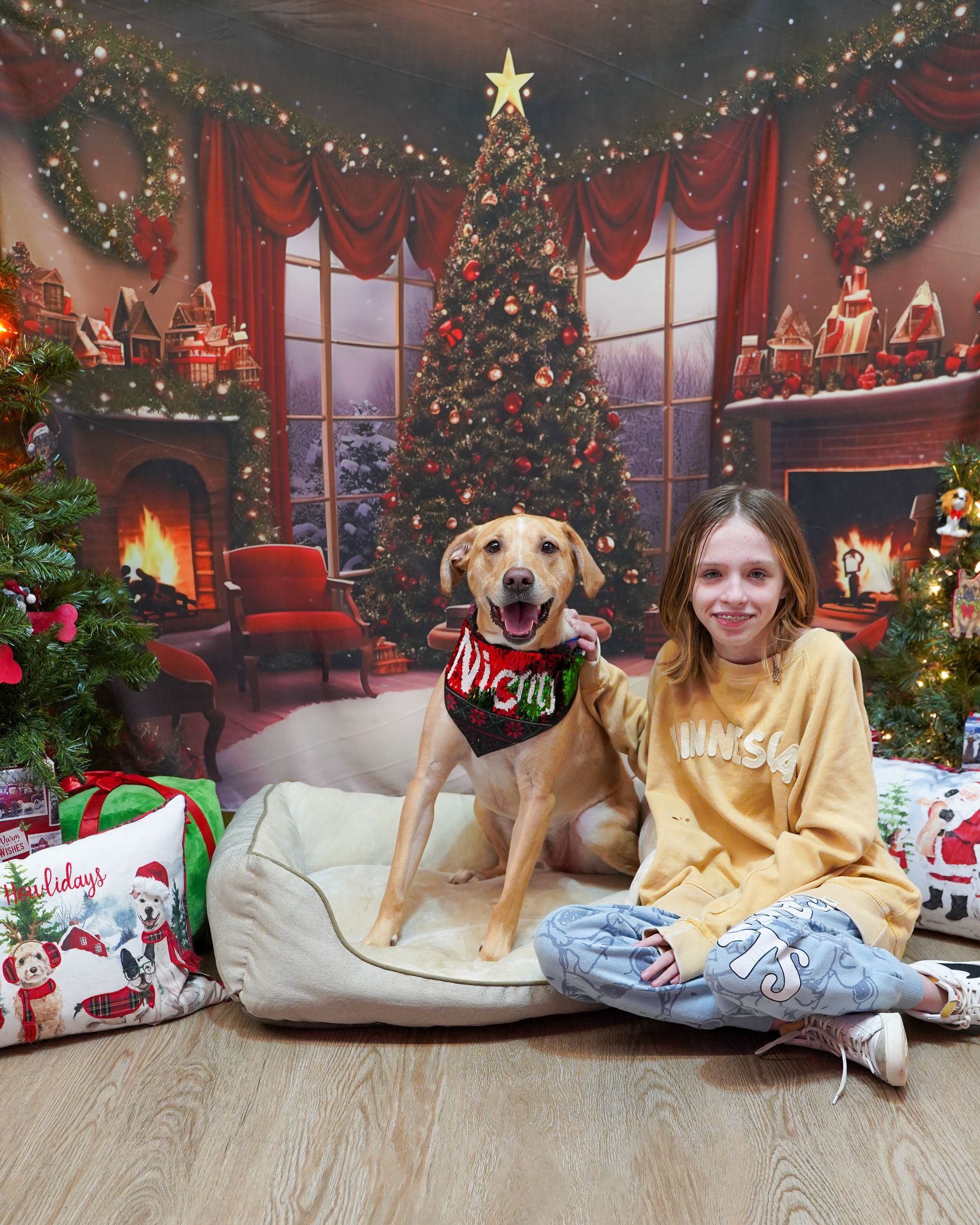 Girl and dog in a festive holiday setting. Dog sits on a bed wearing a 