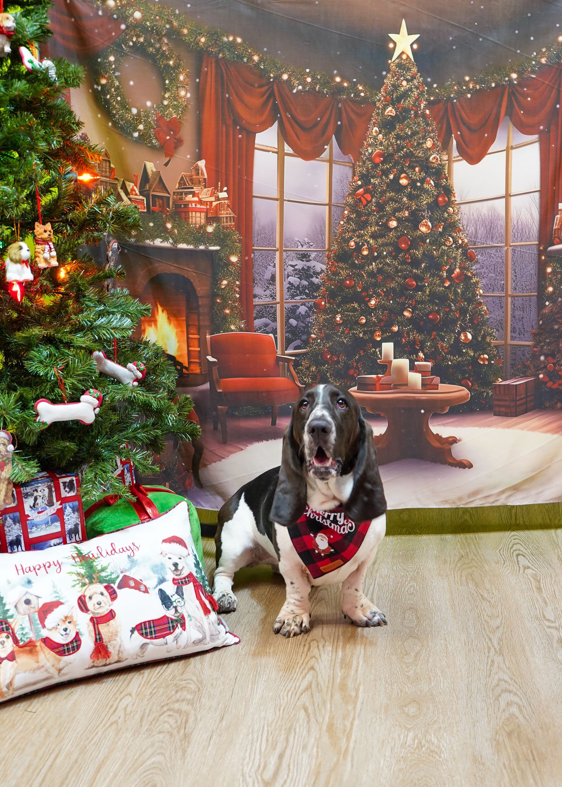 Basset hound with open mouth wearing a holiday bandana in front of a Christmas tree.