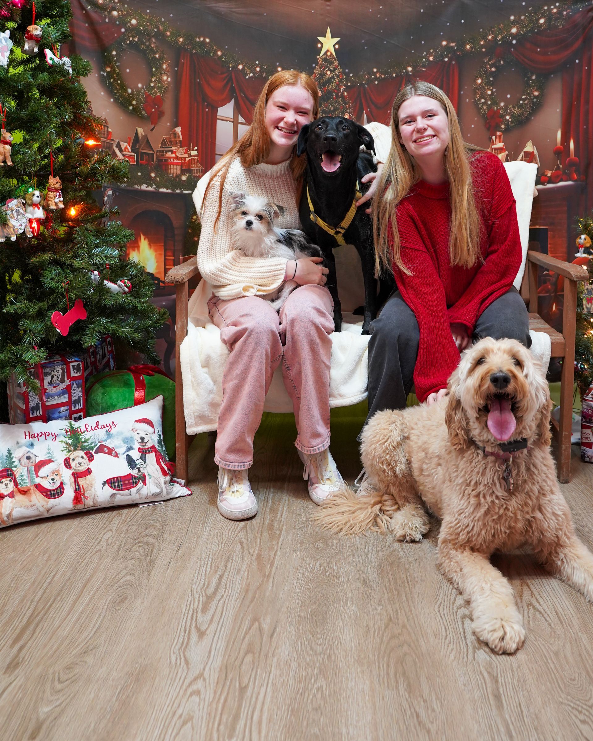 Two people sit with three dogs in front of a Christmas backdrop.