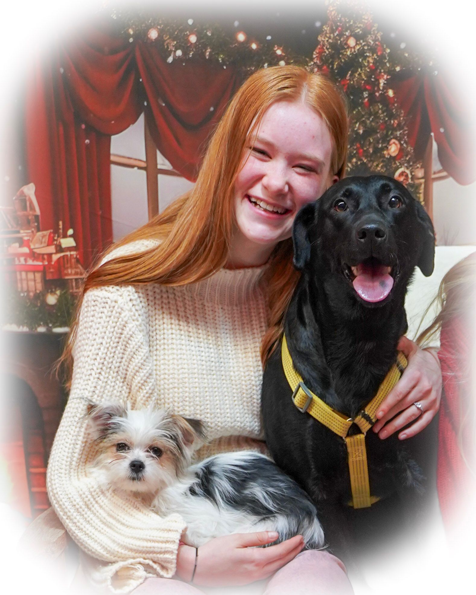 Woman smiling with a black dog wearing a yellow harness and a small, fluffy dog on her lap, Christmas background.