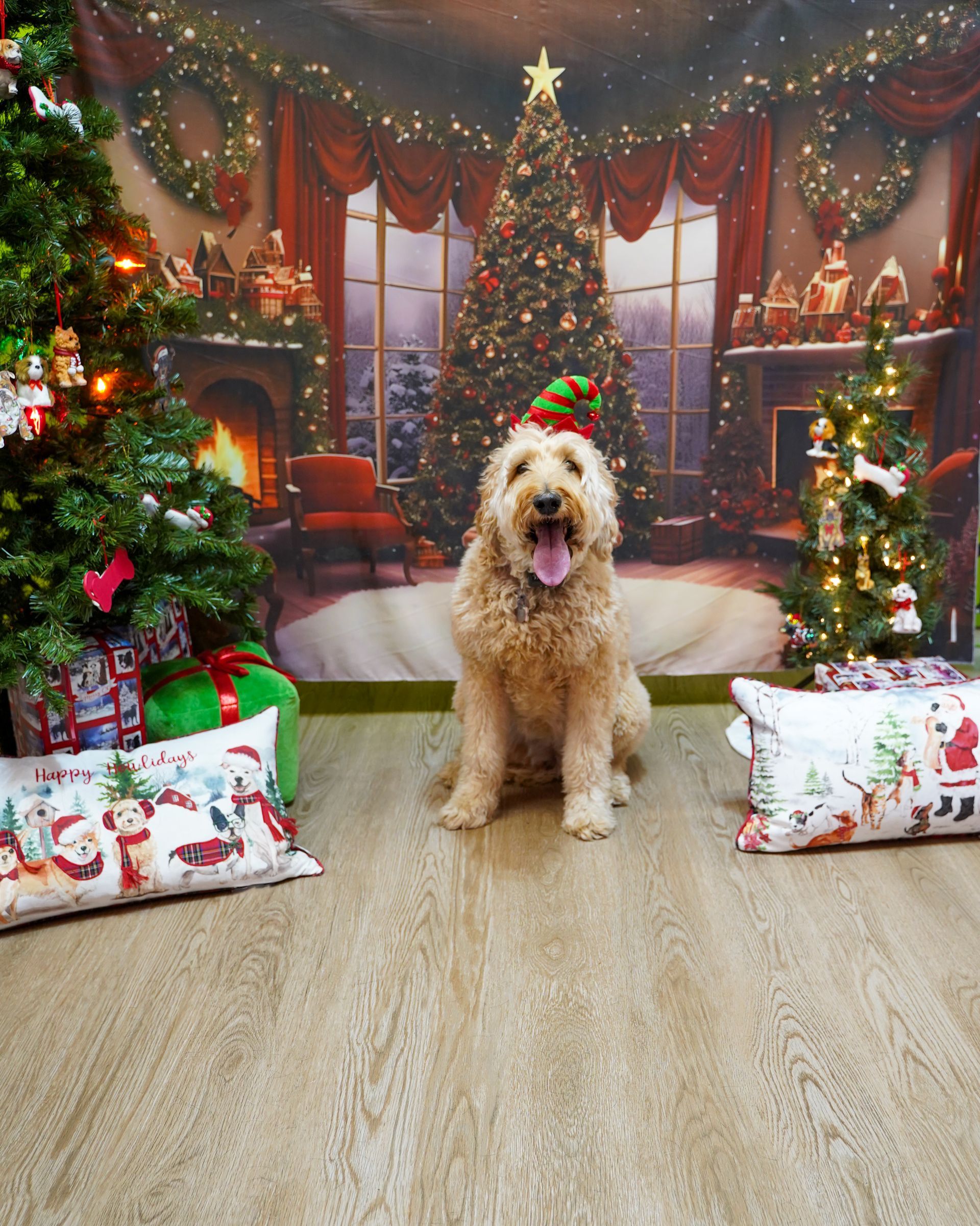 Dog in a Christmas setting, sitting and smiling. Trees and fireplace decorate the background.