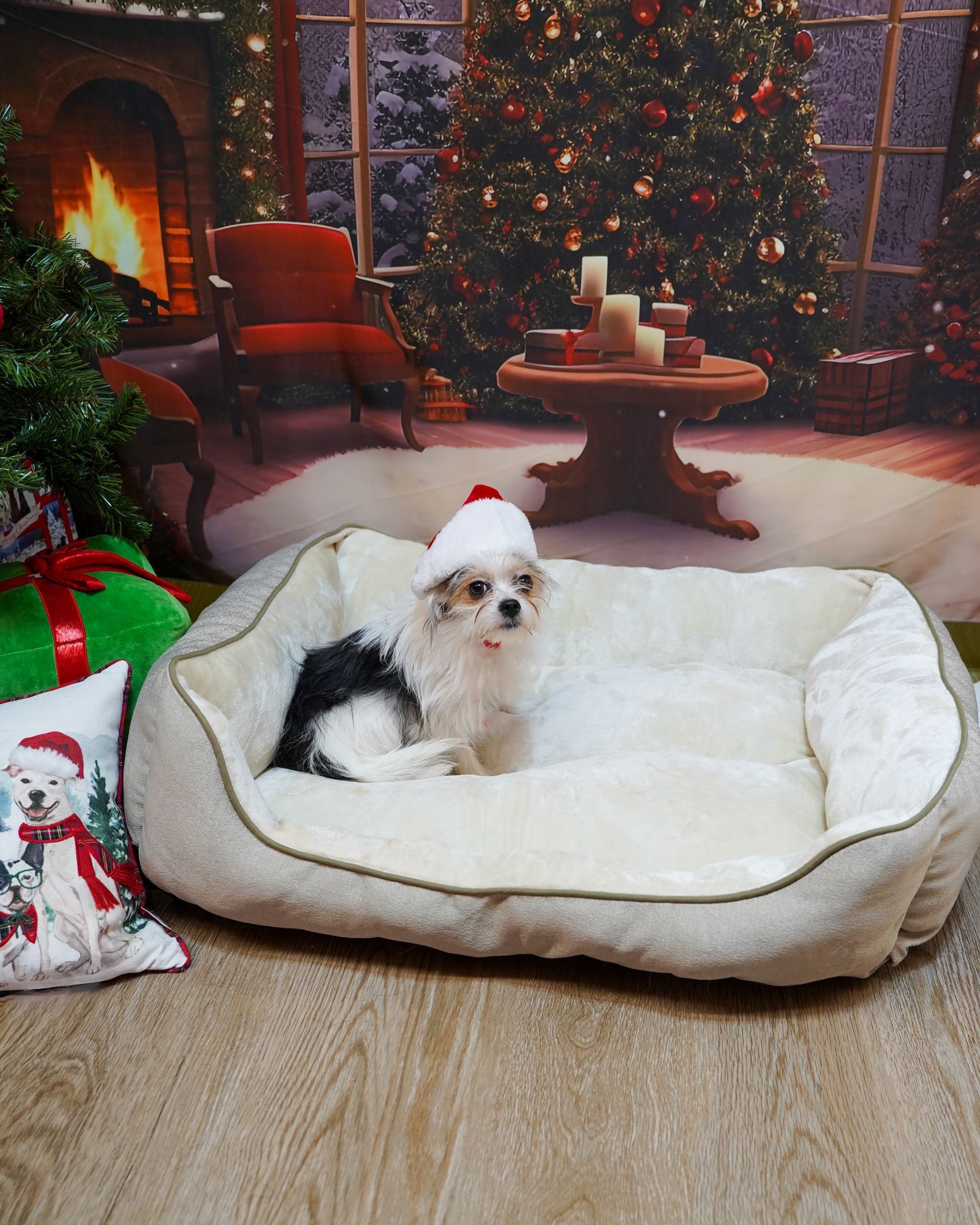 Dog wearing a Santa hat in a cozy bed, Christmas background.