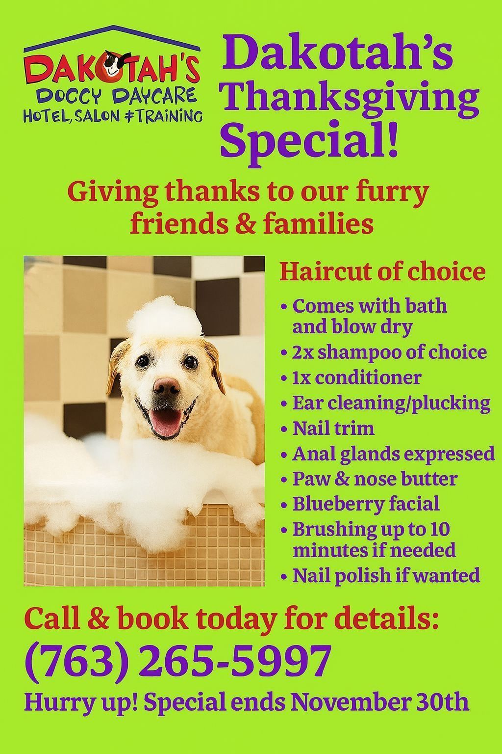 Advertisement for Dakotah's Puppy Daycare's Thanksgiving special. A dog gets a spa treatment. Details include grooming services.
