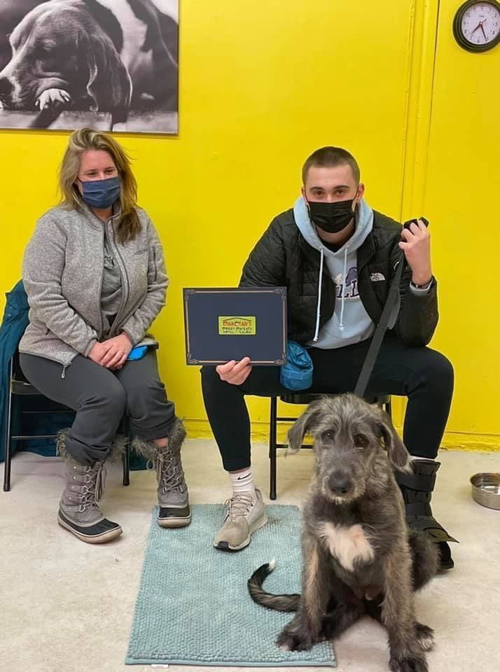 People with a dog, one holding a framed award, in front of a yellow wall.