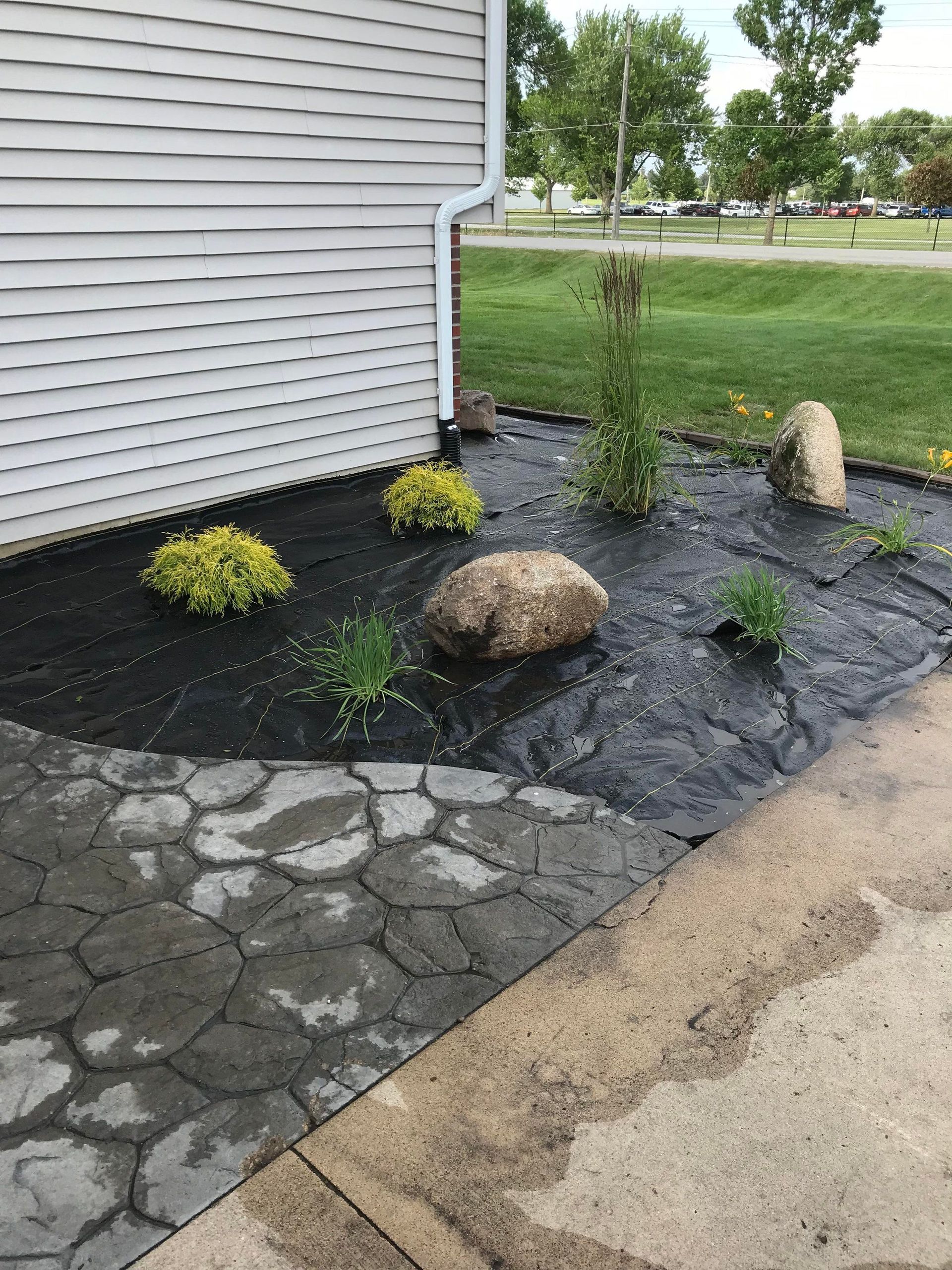 A patio with rocks and plants in front of a house.