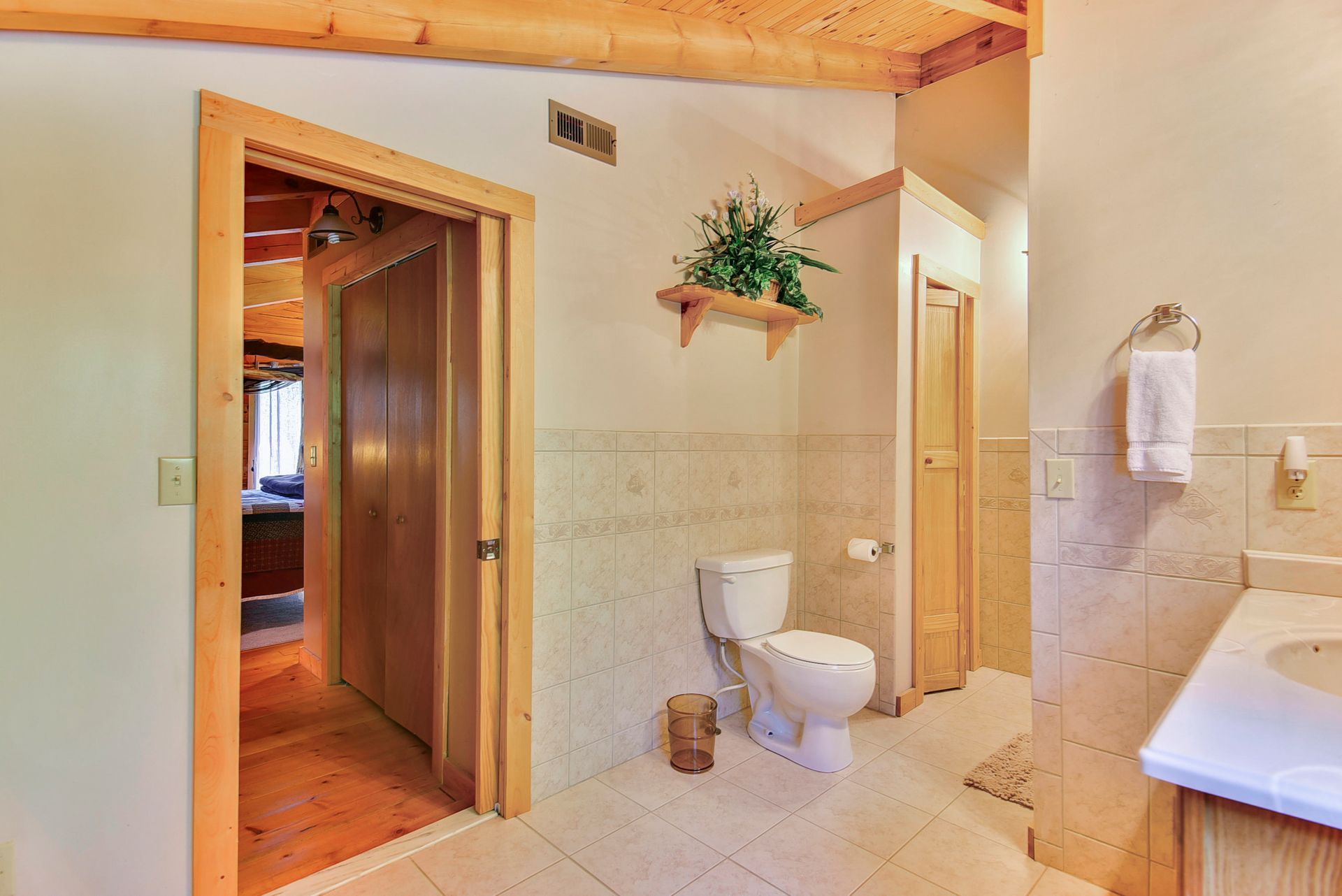 Bathroom with white tile, toilet, wooden door, and a shelf with plants.