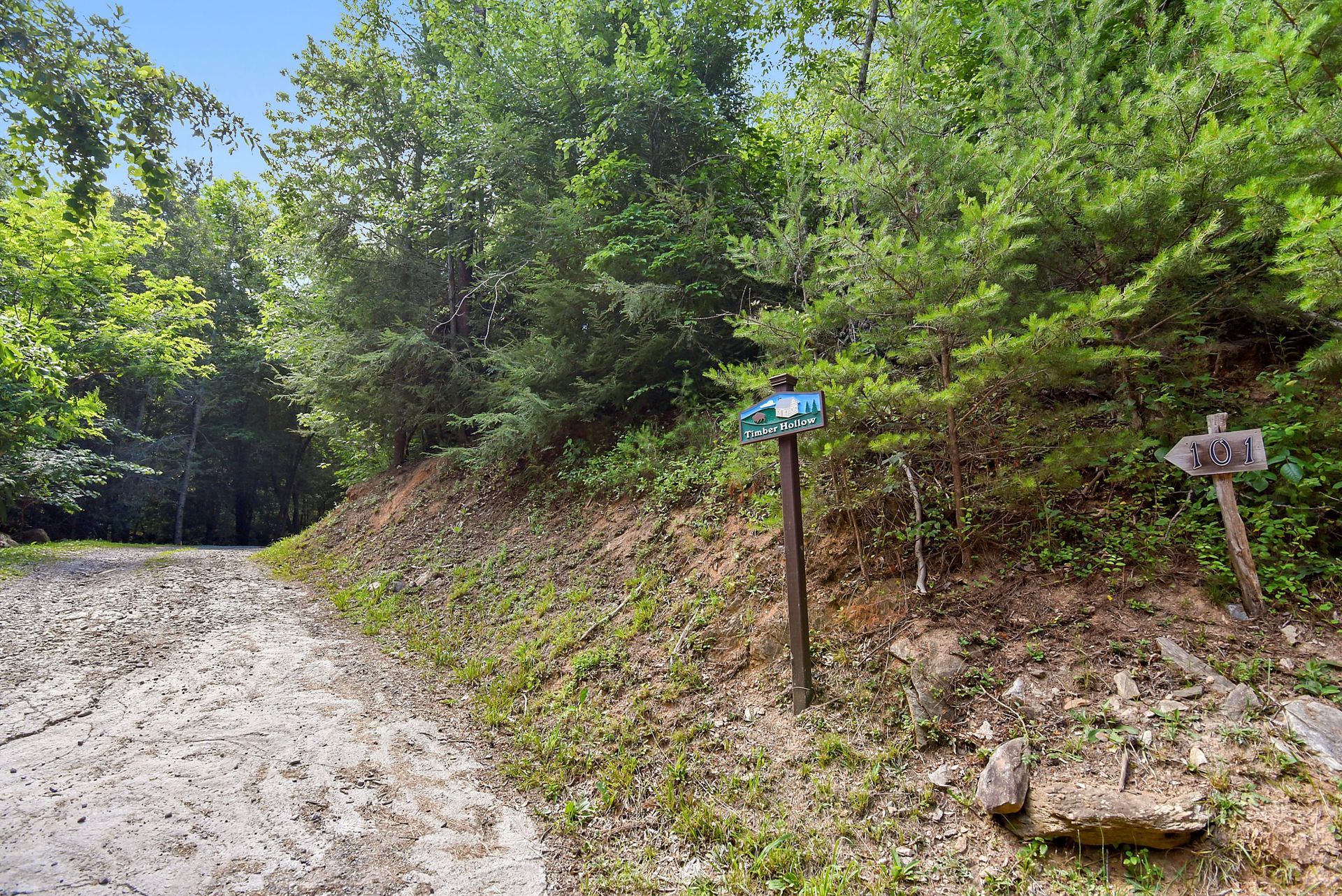 Dirt road leading into a forest, with a signpost on the right.