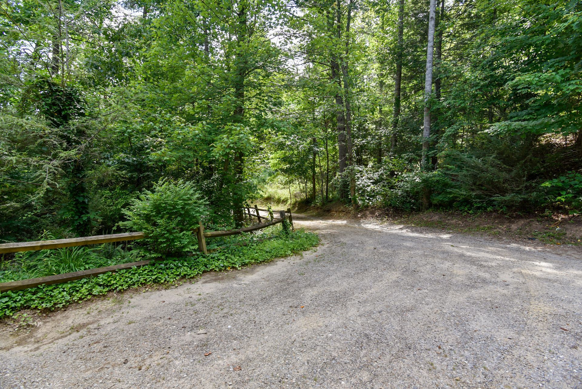 Gravel driveway curves toward a shaded wooded area with a split path. Wooden fence on left, greenery.