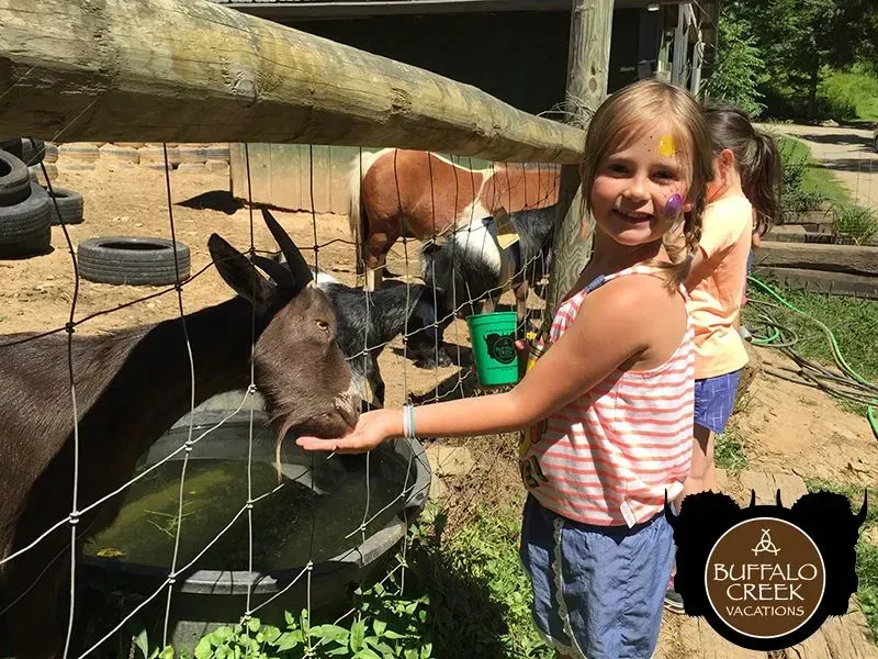 Girl with face paint feeds a goat at Buffalo Creek.