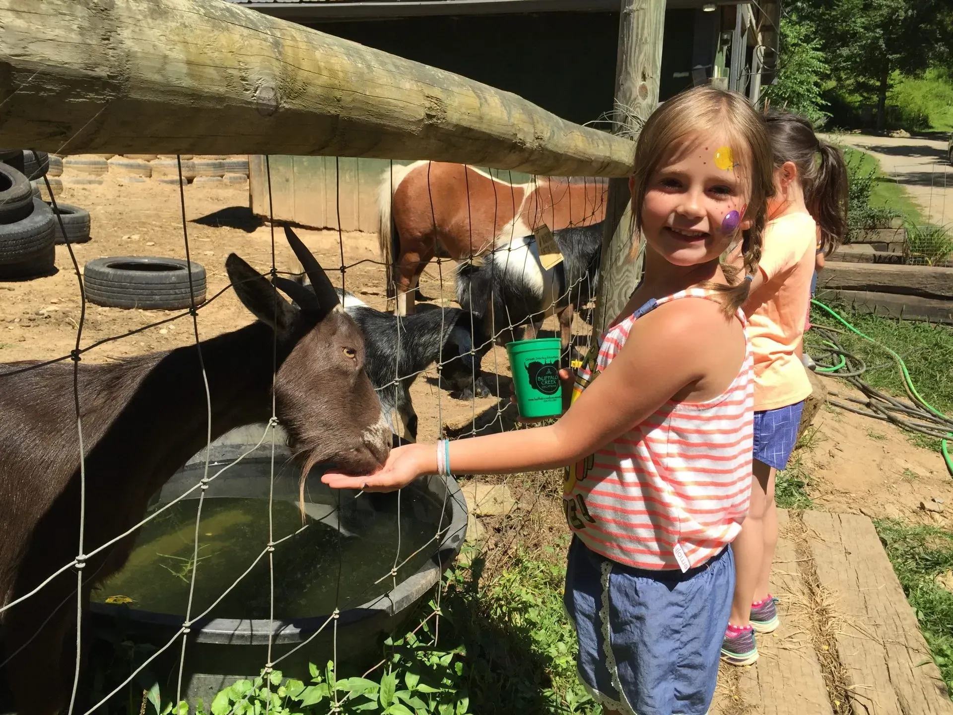 Girl with face paint feeds a brown and black goat at a farm.