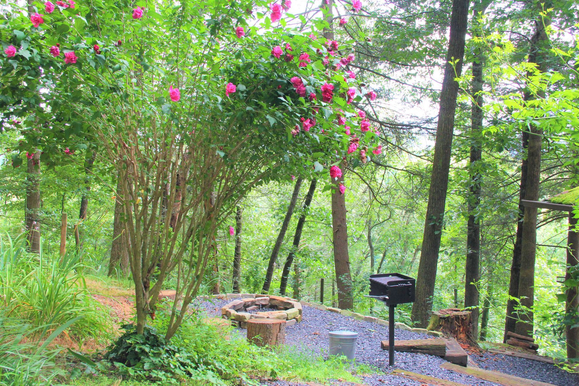 A lush green forest scene with a flowering tree, fire pit, and grill.