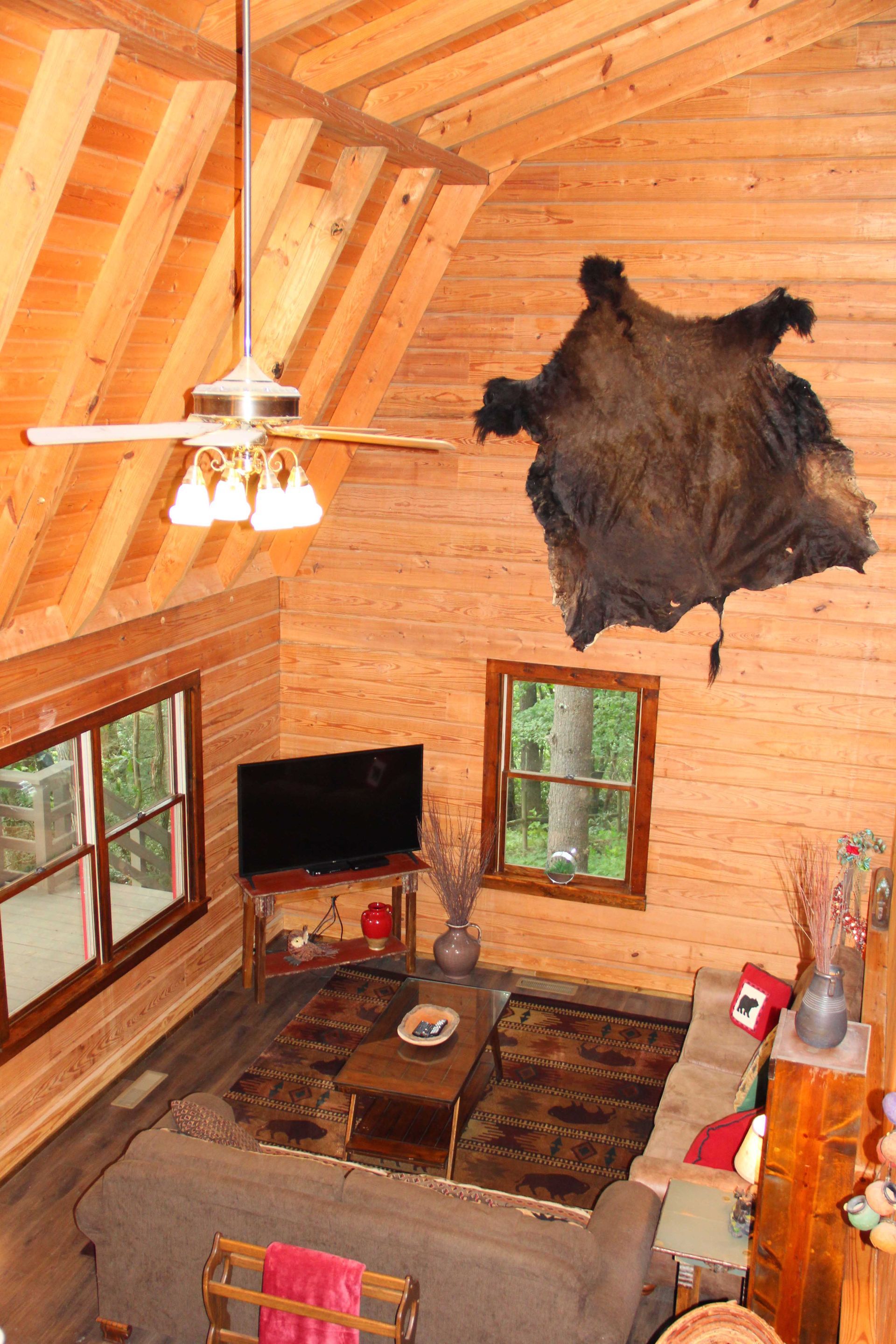 Cozy cabin interior with wood walls, bear rug, TV, windows, and a ceiling fan.