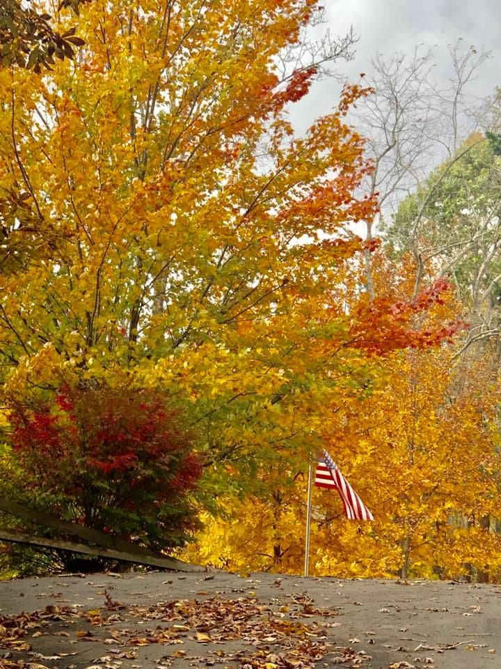 Autumn foliage with an American flag. Trees in shades of yellow, orange, and red.