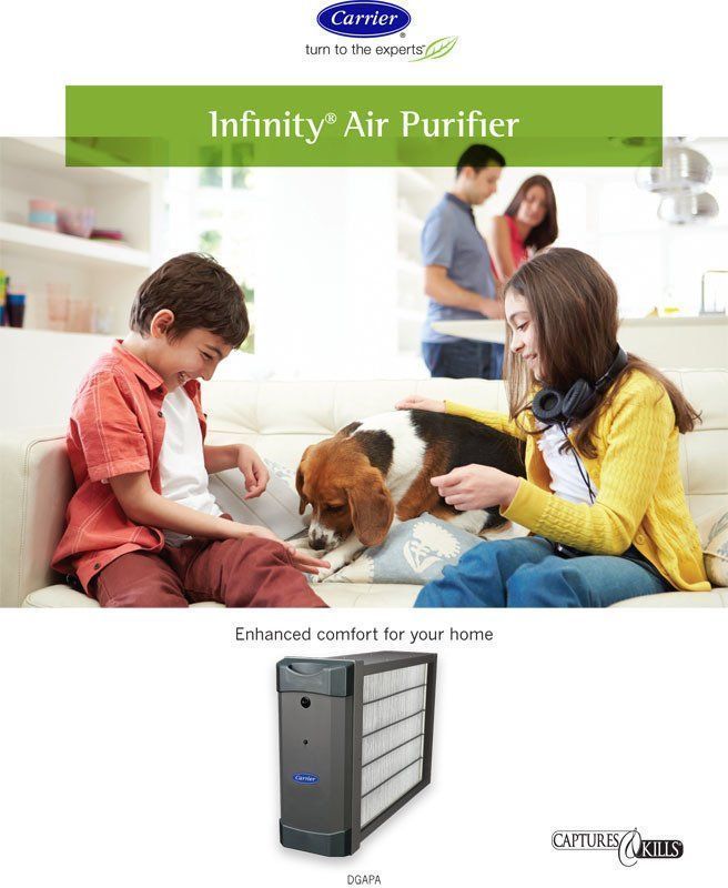 Family interacting with each other and a dog in a living room; Carrier Infinity air purifier featured.