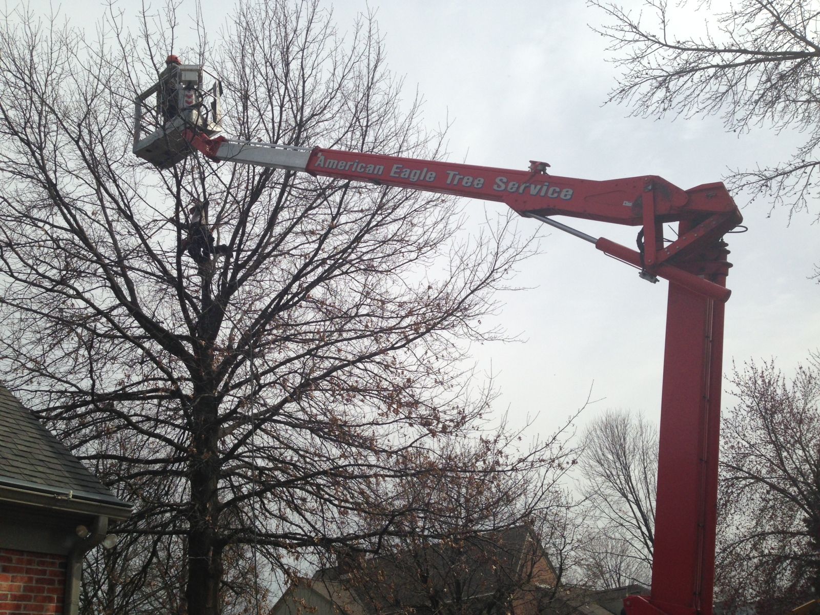 American Eagle Tree Service