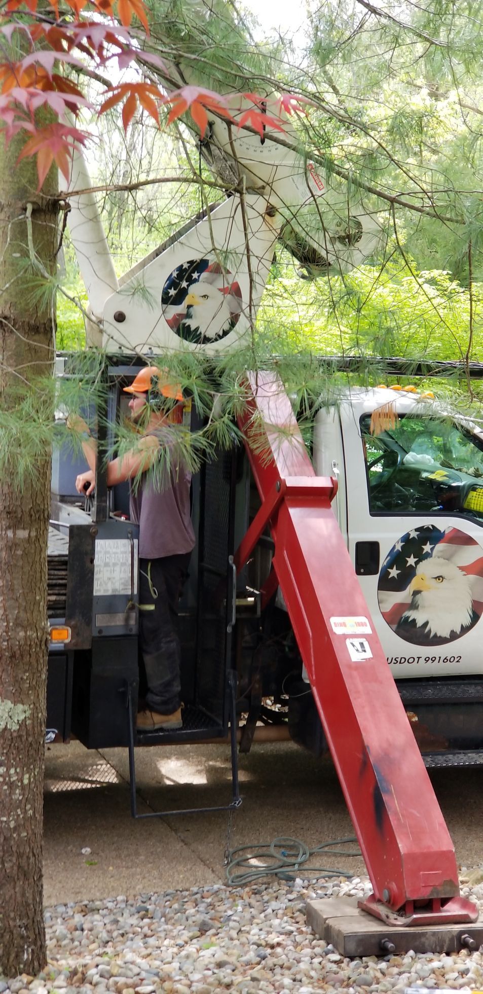 A worker in a helmet operates a tree service truck with an eagle logo and a red boom arm in a wooded area.
