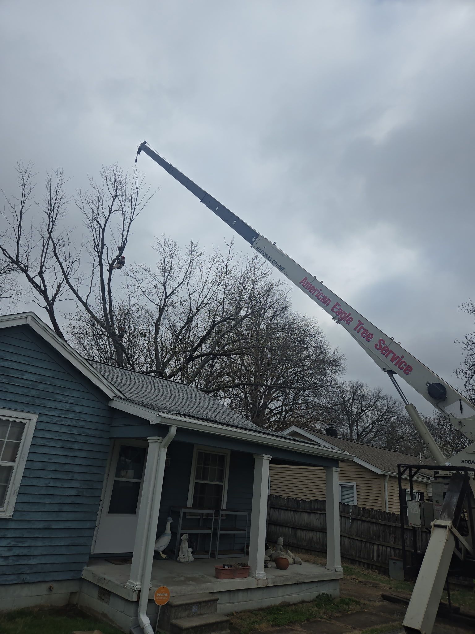 A crane from a tree service company extends over a blue house, positioned to remove branches from a large tree.