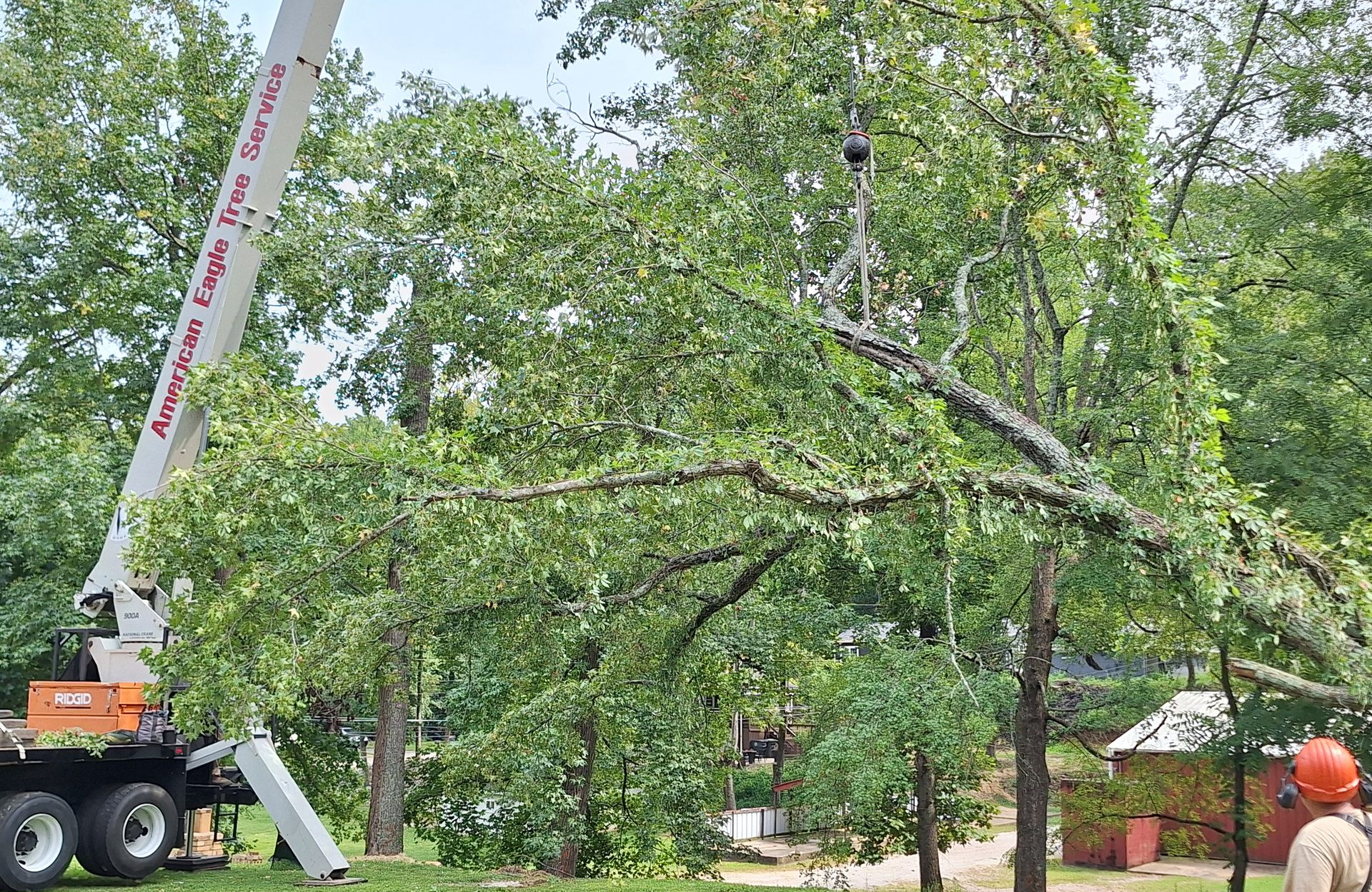A crane lifts a large tree limb, suspended by a cable, in a wooded residential setting.