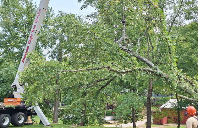 A crane lifts a large tree limb, suspended by a cable, in a wooded residential setting.