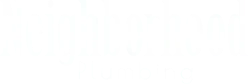 Neighborhood Plumbing logo