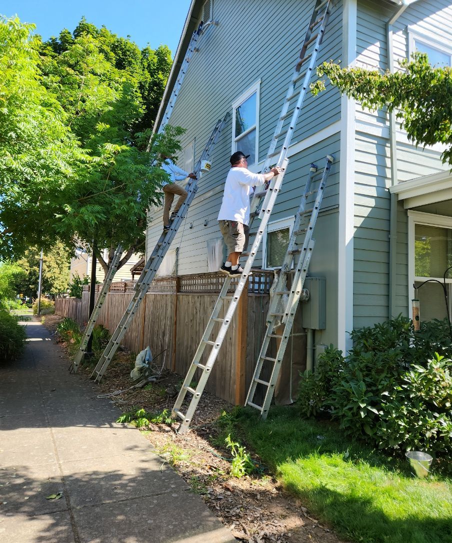 Two people painting the exterior of a light blue house using ladders in a sunny yard