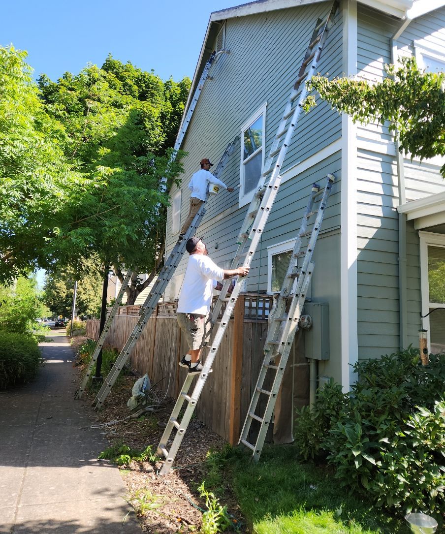 Workers using ladders to paint a tall house exterior in bright sunlight