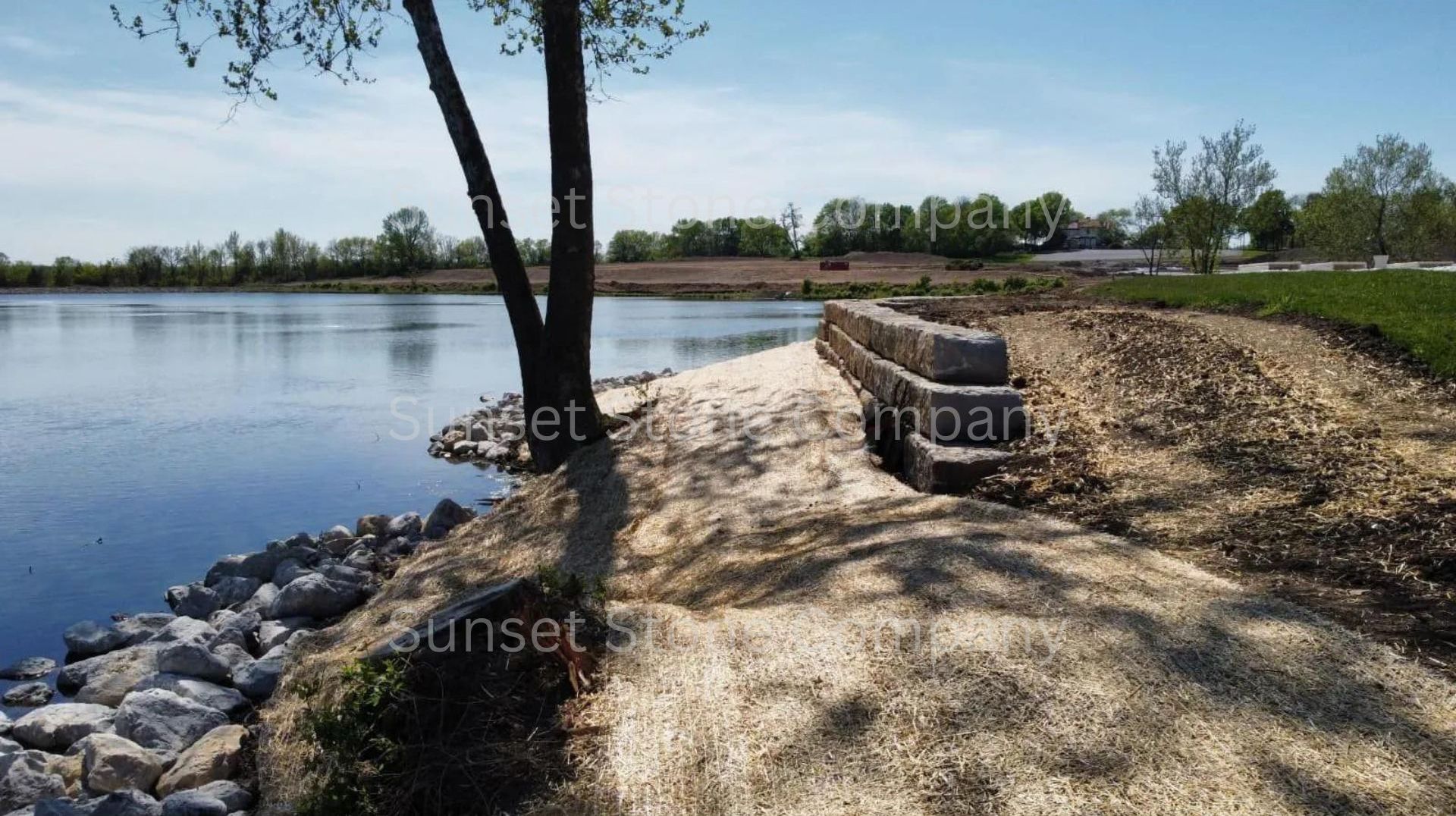 A tree stands on the shore of a lake