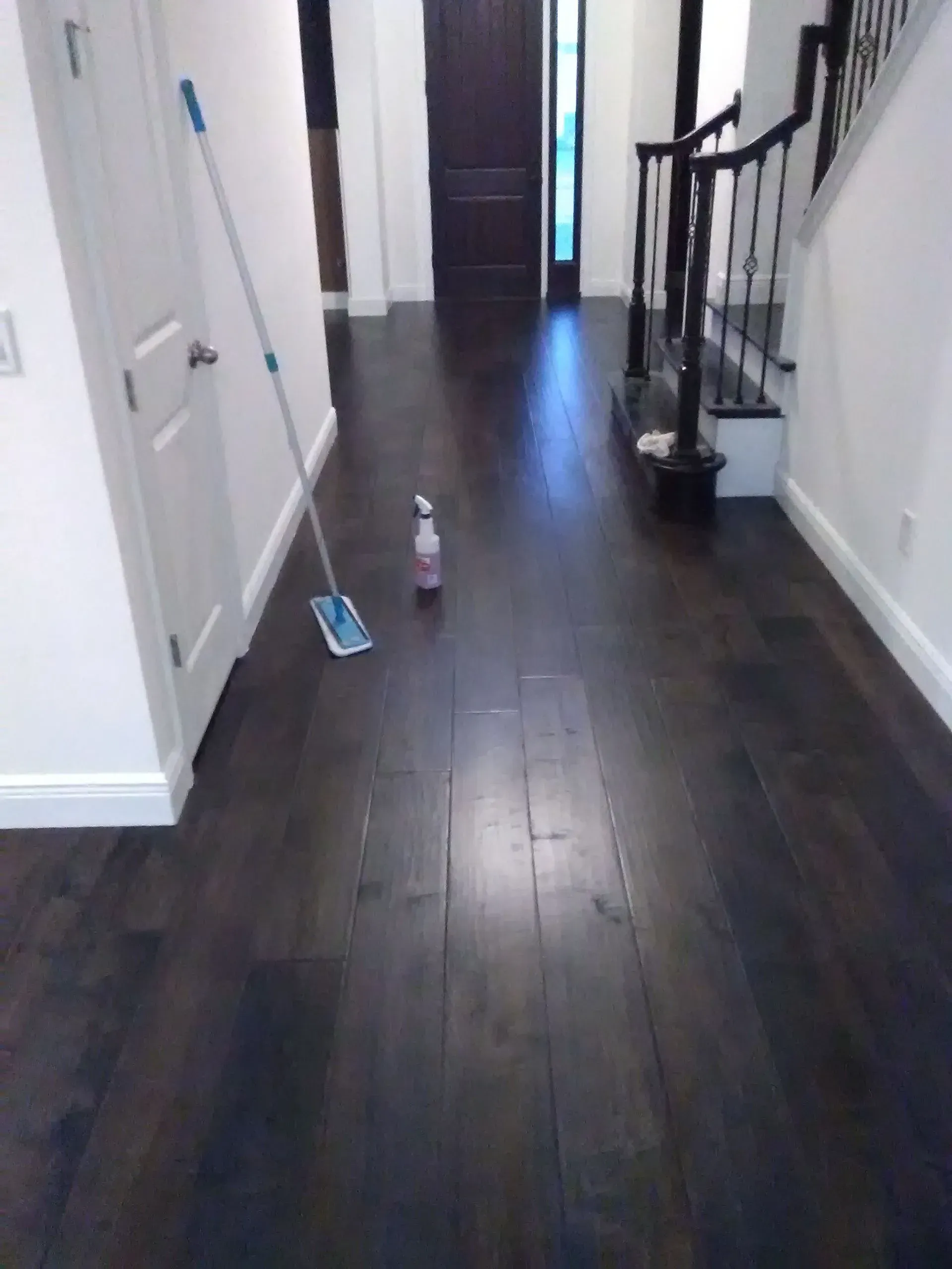 Dark wood floor in hallway with mop, spray bottle, door, and stairs.
