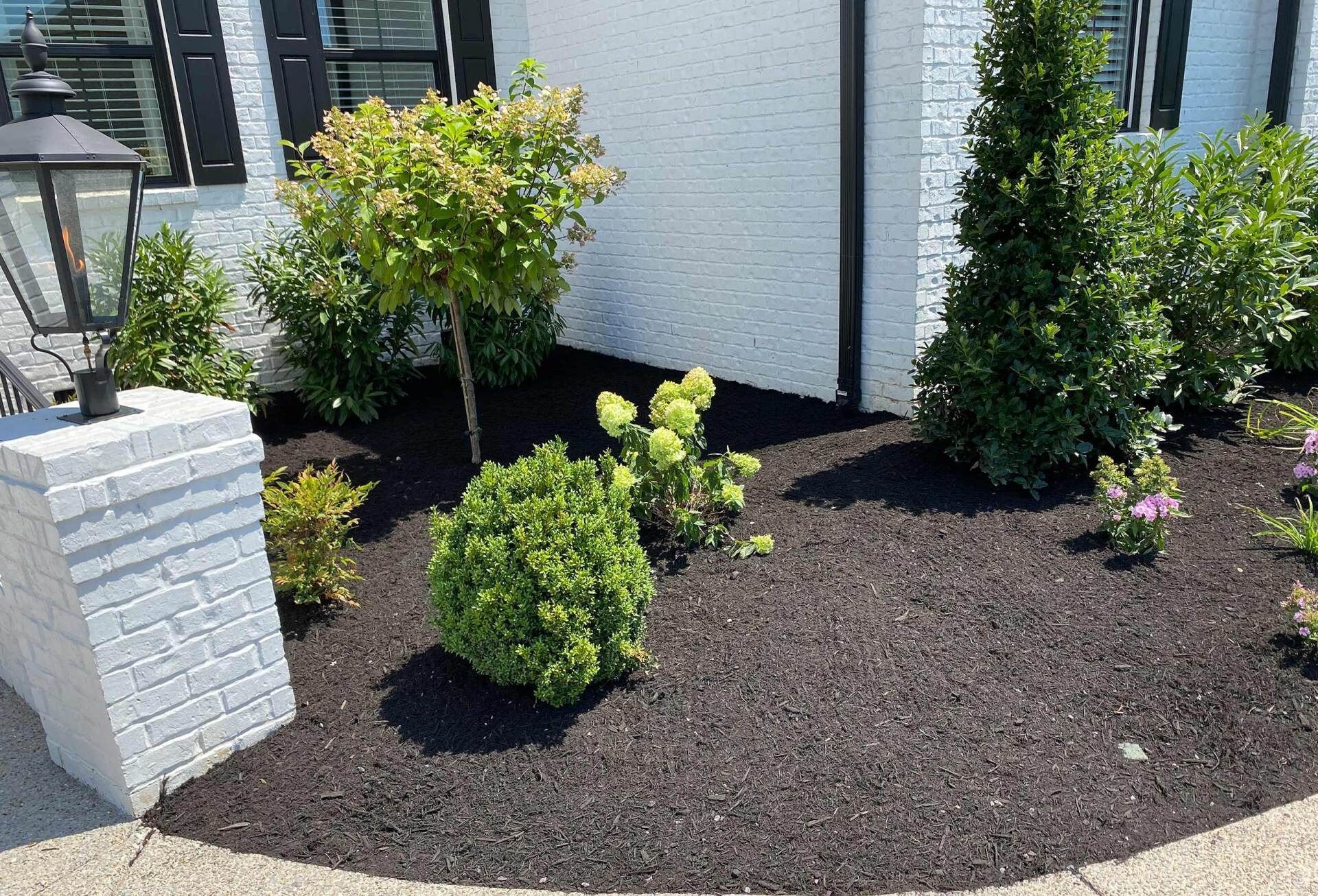 Well-kept landscaping with dark mulch, various green plants, and a white brick pillar near a house.